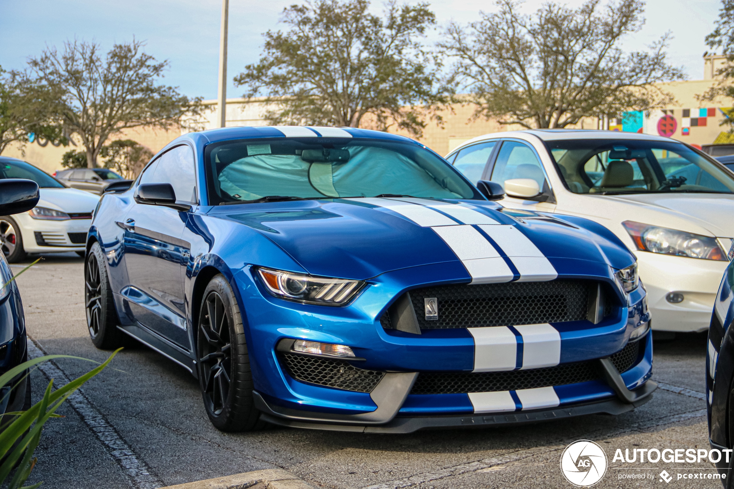 Ford Mustang Shelby GT350 2015