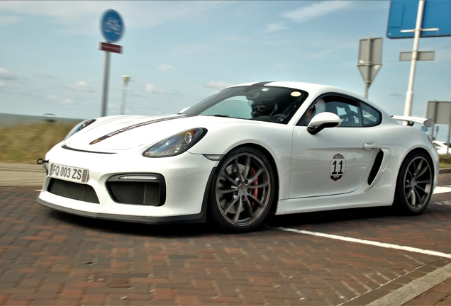 Porsche 981 Cayman GT4