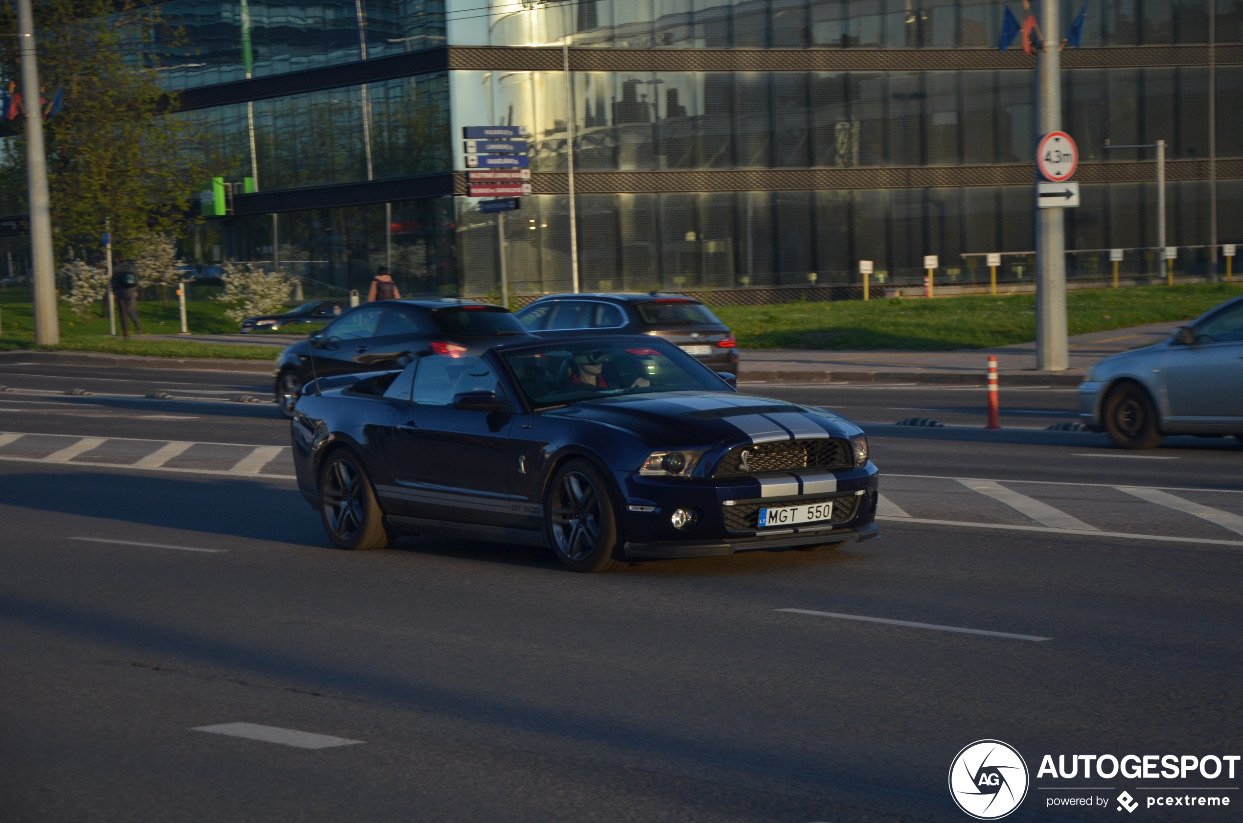 Ford Mustang Shelby GT500 Convertible 2010