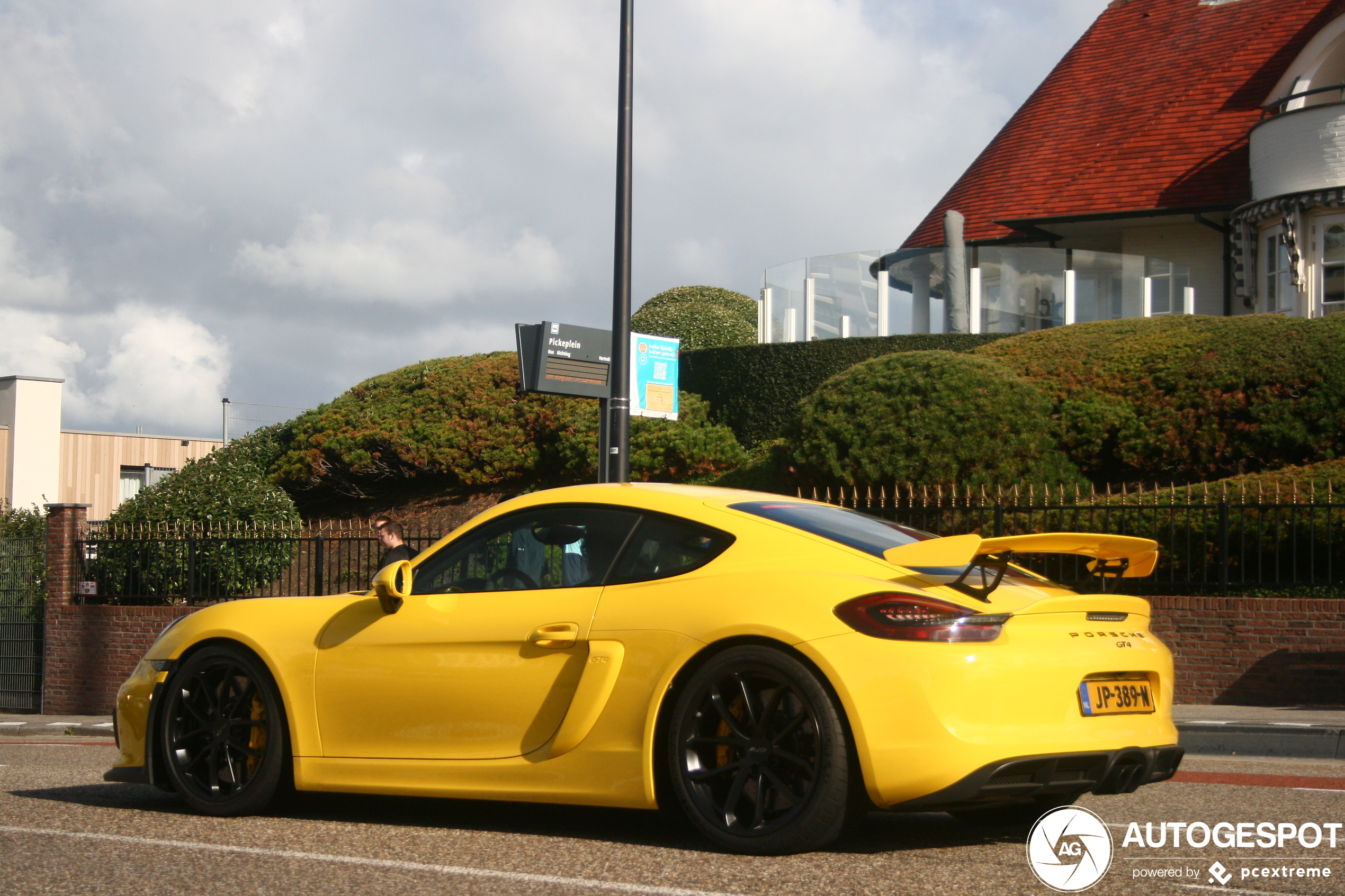 Porsche 981 Cayman GT4