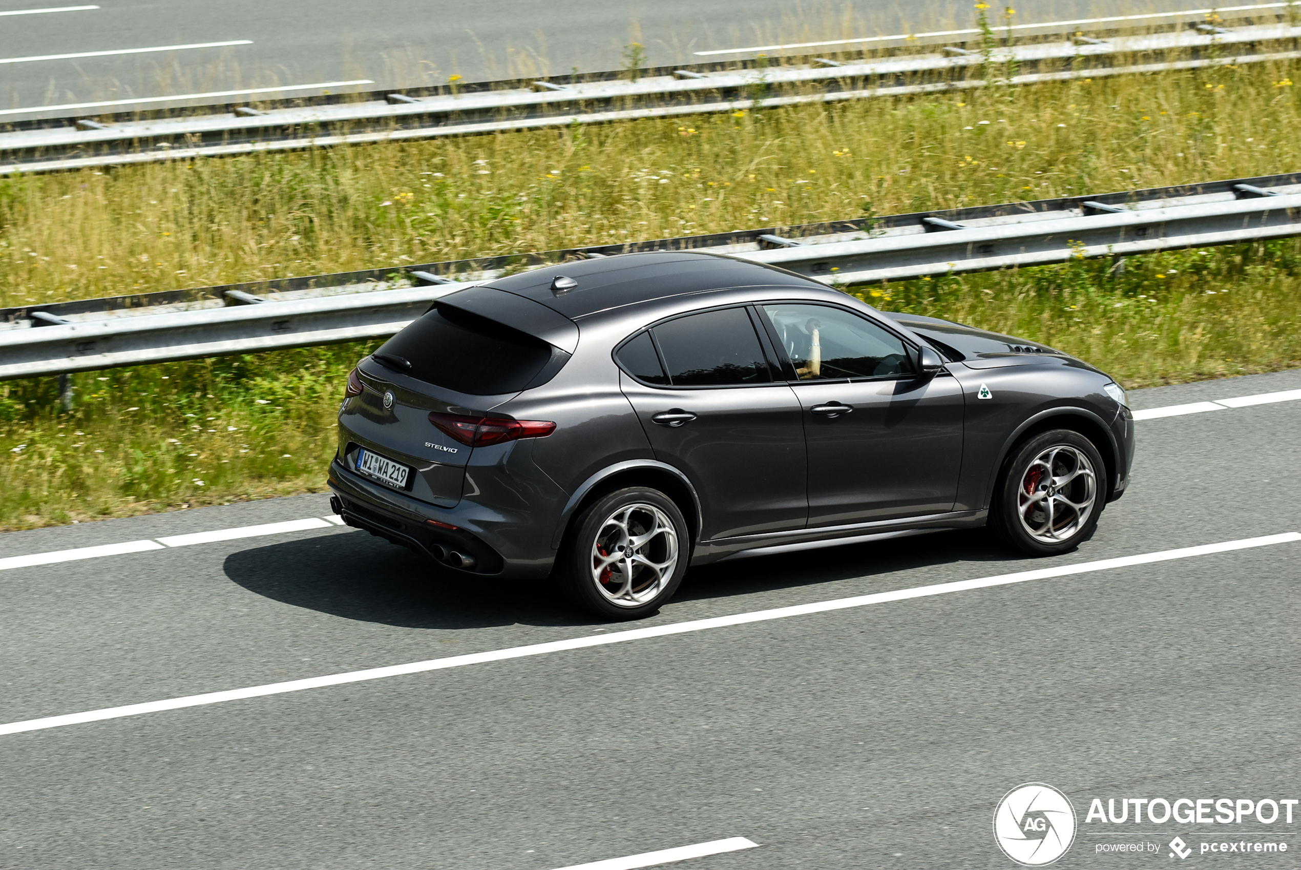 Alfa Romeo Stelvio Quadrifoglio