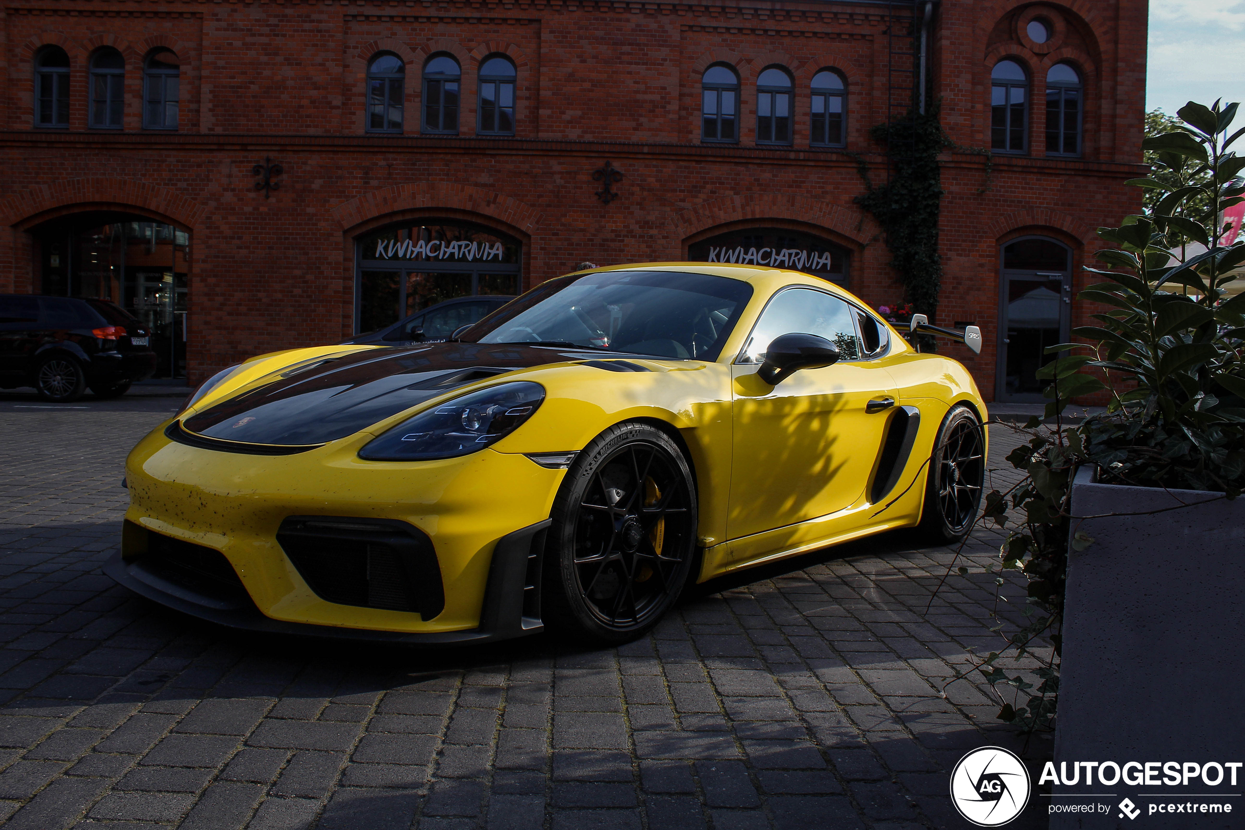 Porsche 718 Cayman GT4 RS Weissach Package