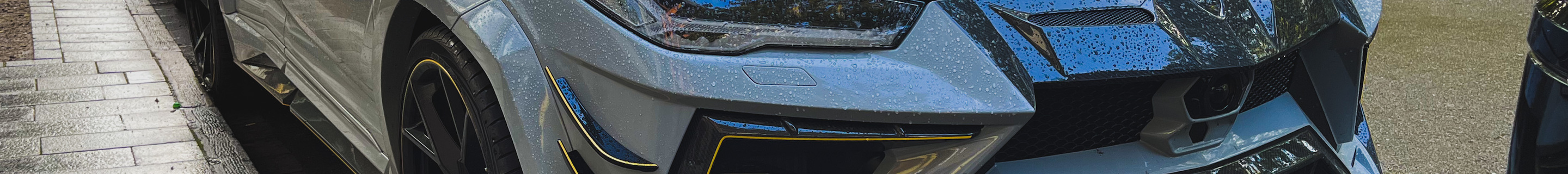 Lamborghini Urus Mansory Venatus EVO