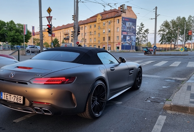 Mercedes-AMG GT C Roadster R190 2019