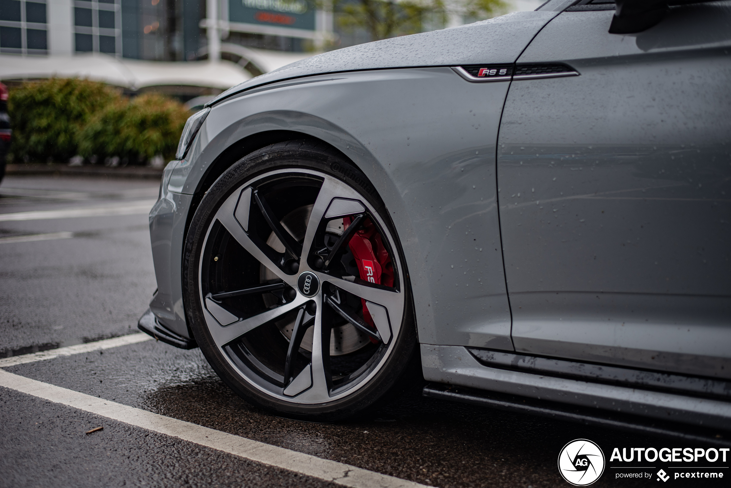 Audi RS5 B9