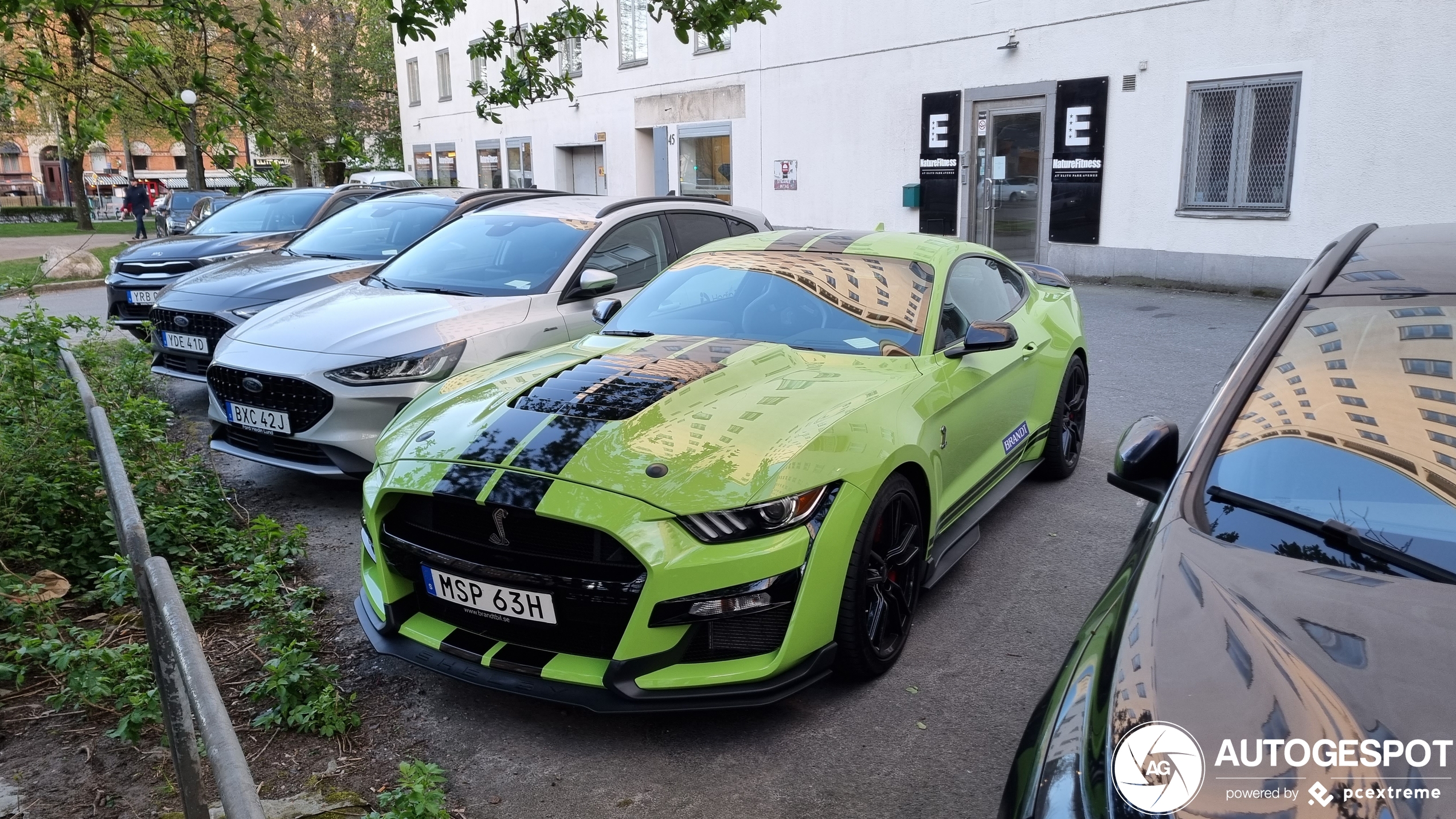 Ford Mustang Shelby GT500 2020