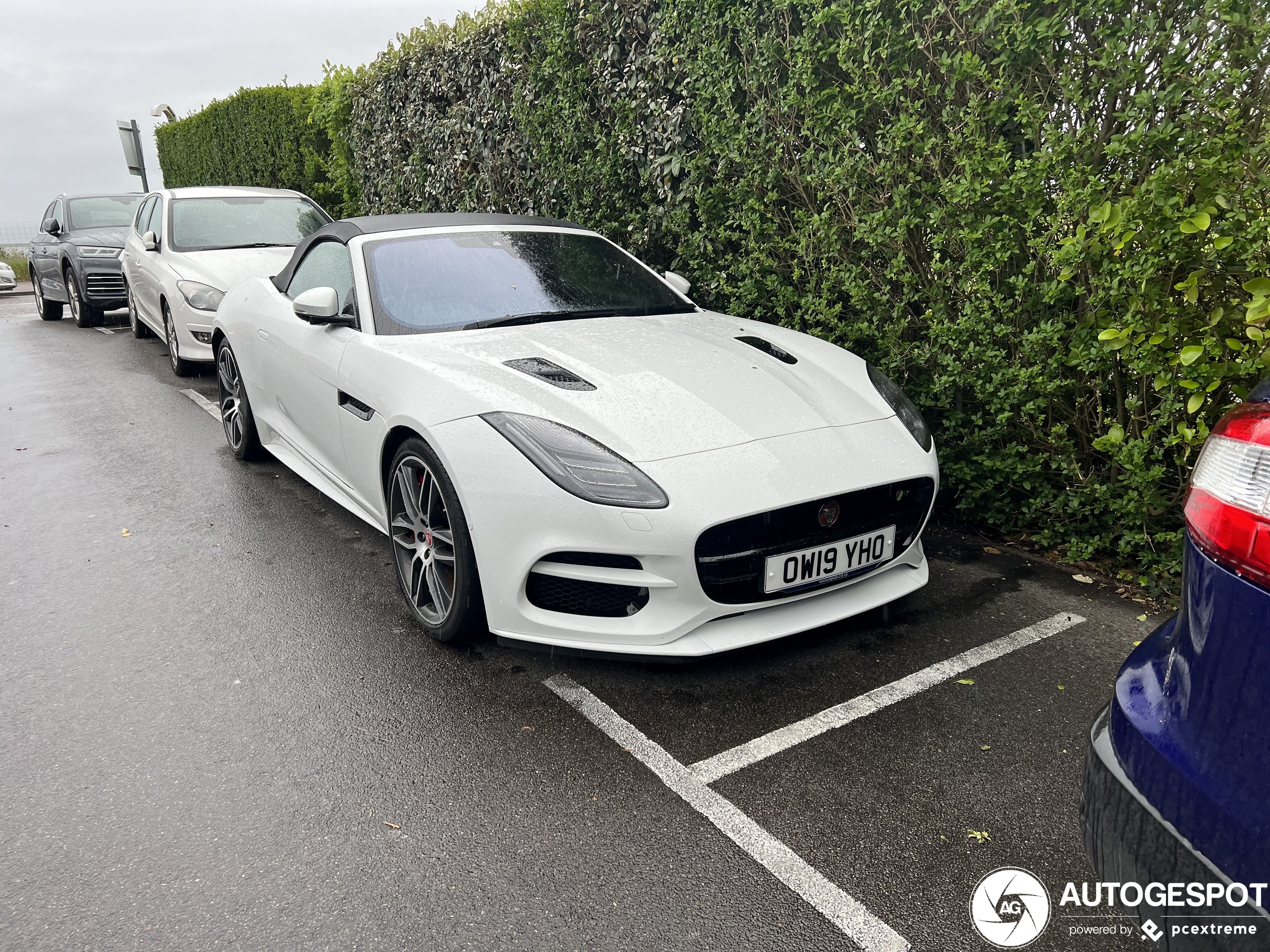 Jaguar F-TYPE R Convertible 2017