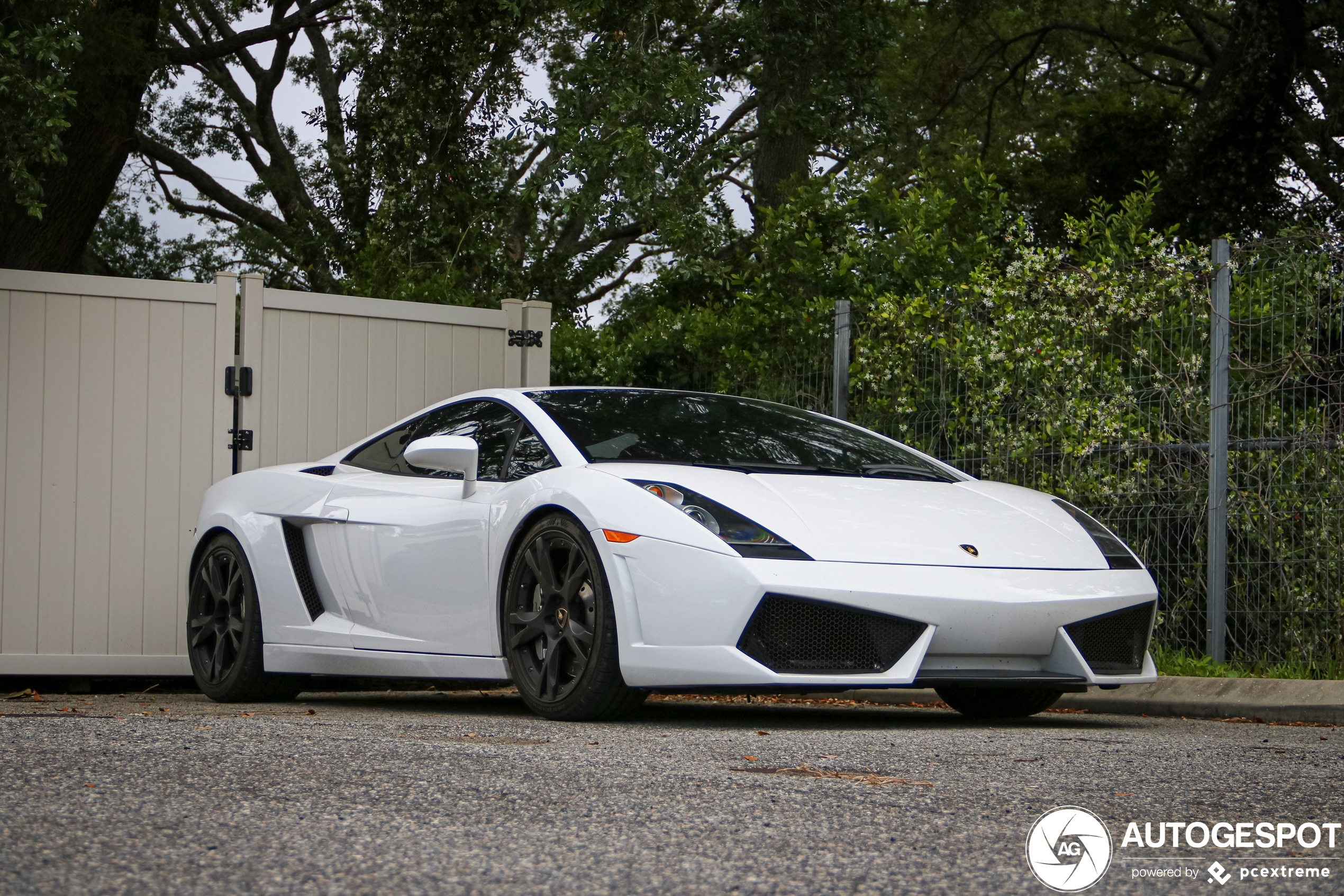 Lamborghini Gallardo