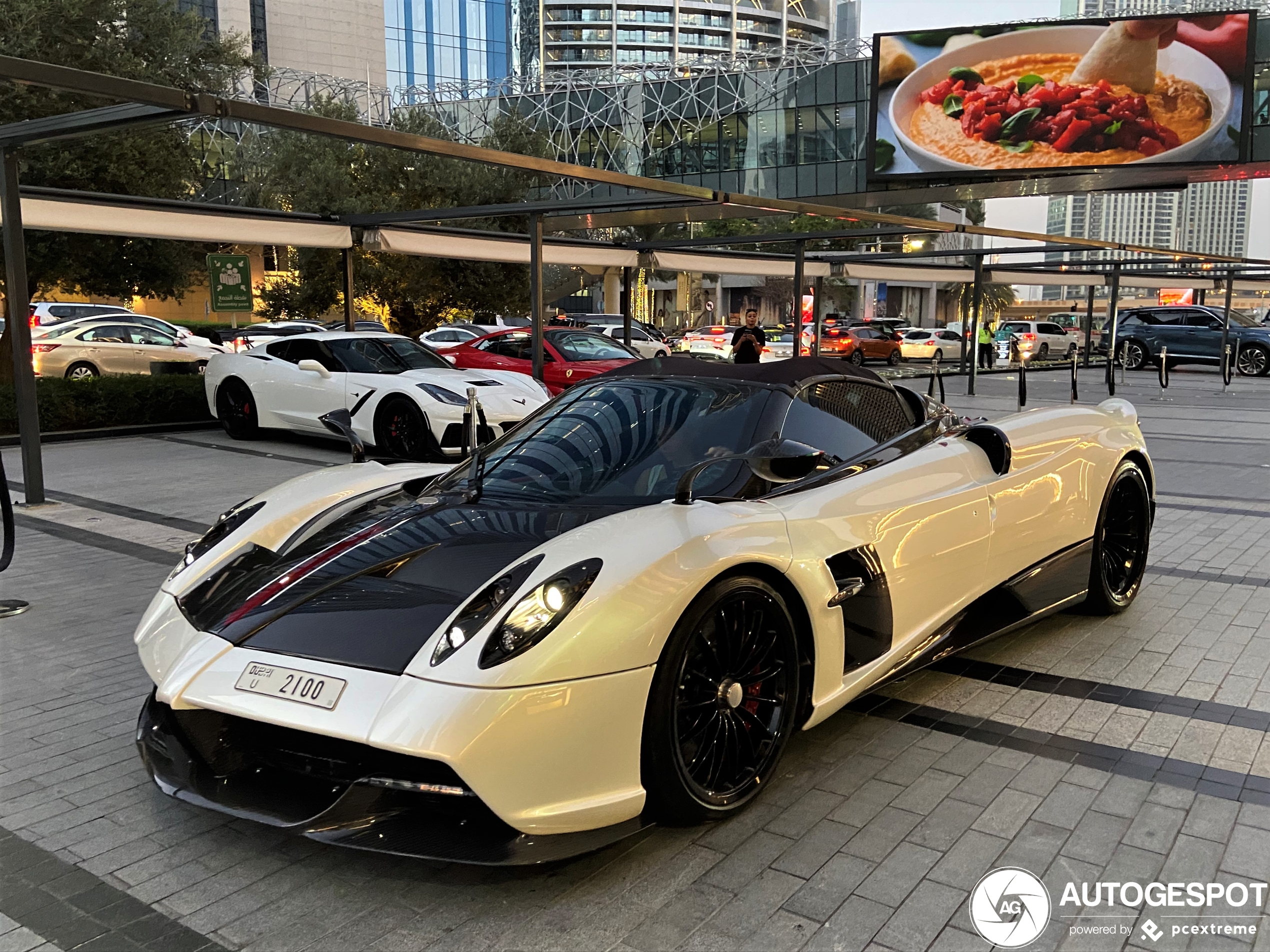An exotic sight in front of Dubai's shopping mall