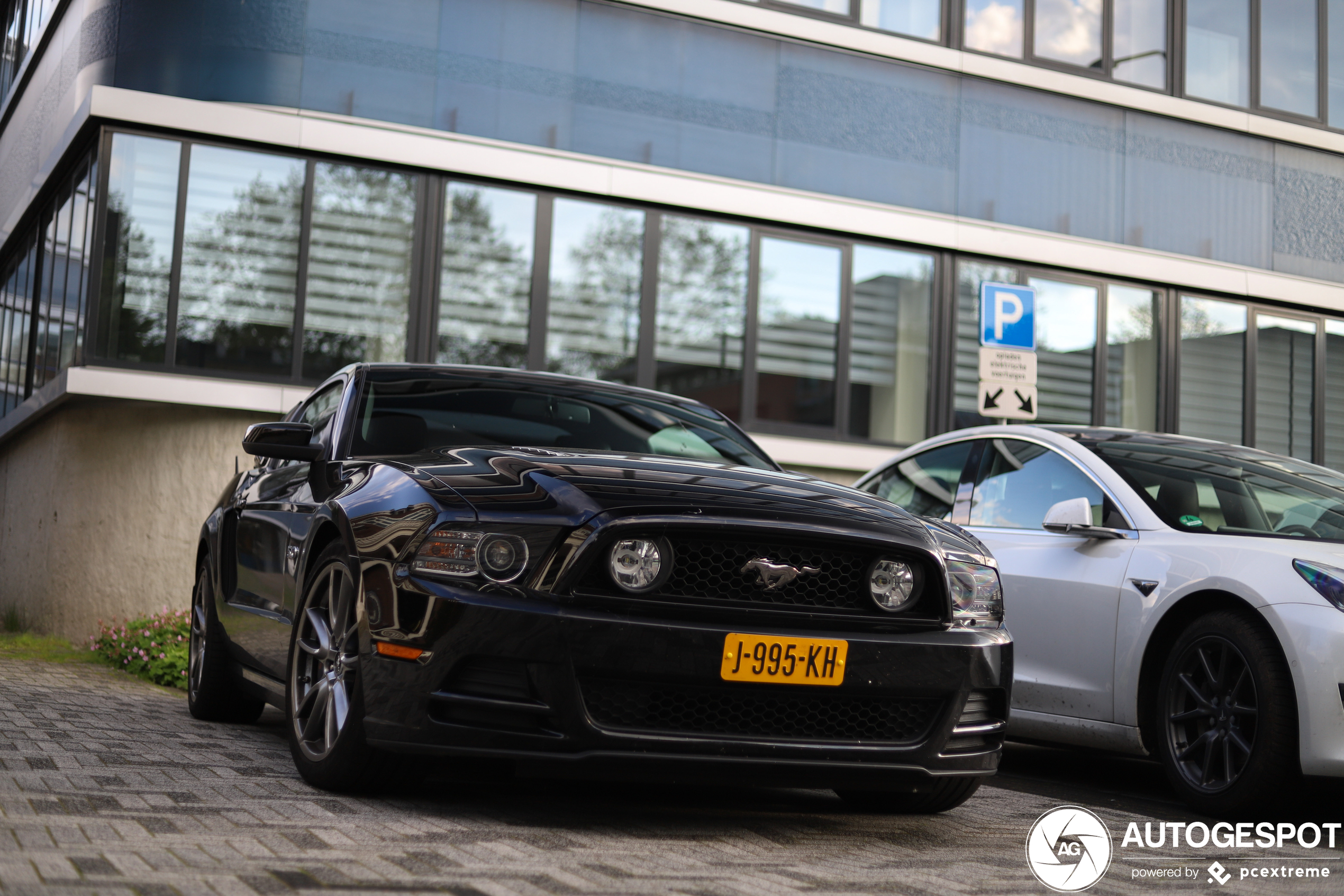 Ford Mustang GT 2013