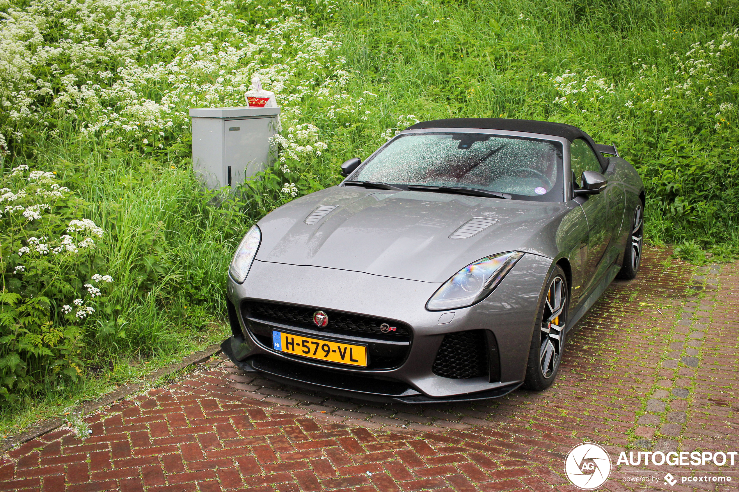 Jaguar F-TYPE SVR Convertible