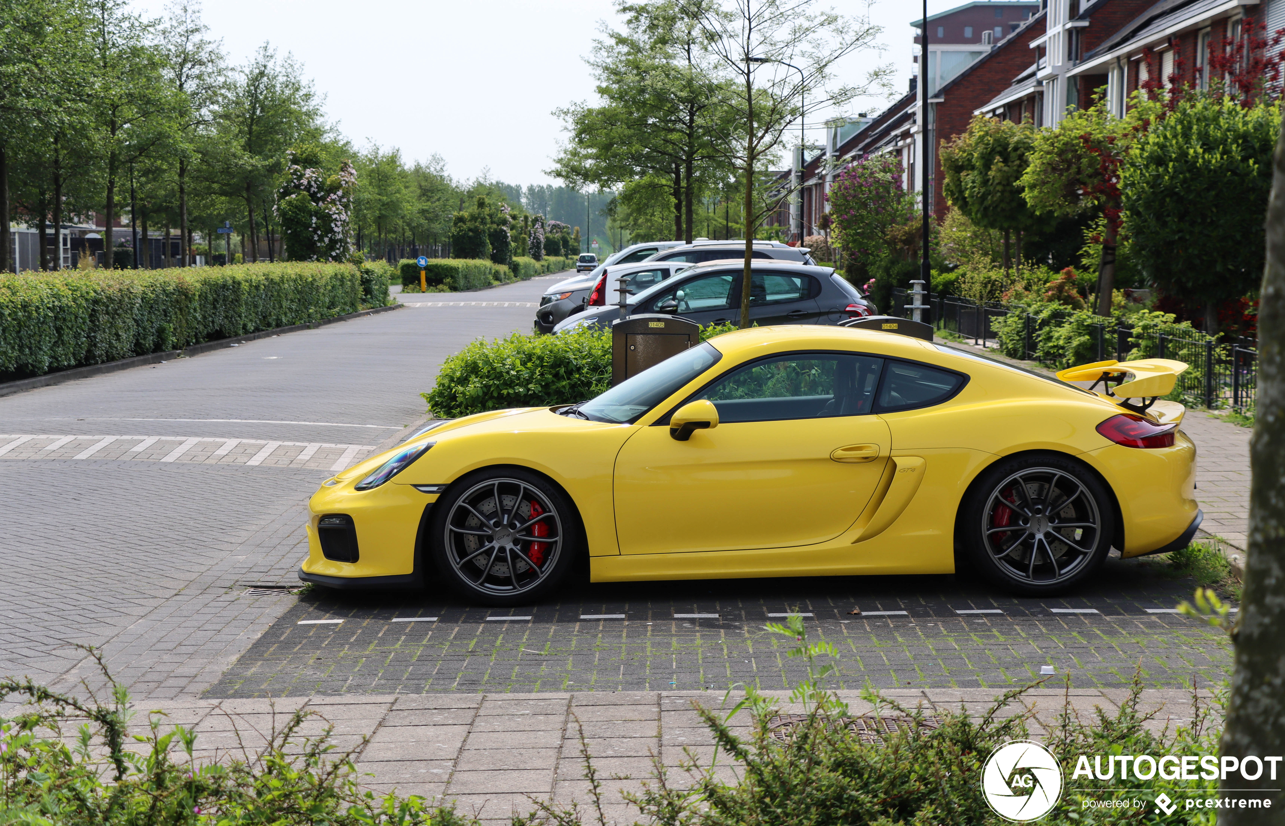 Porsche 981 Cayman GT4