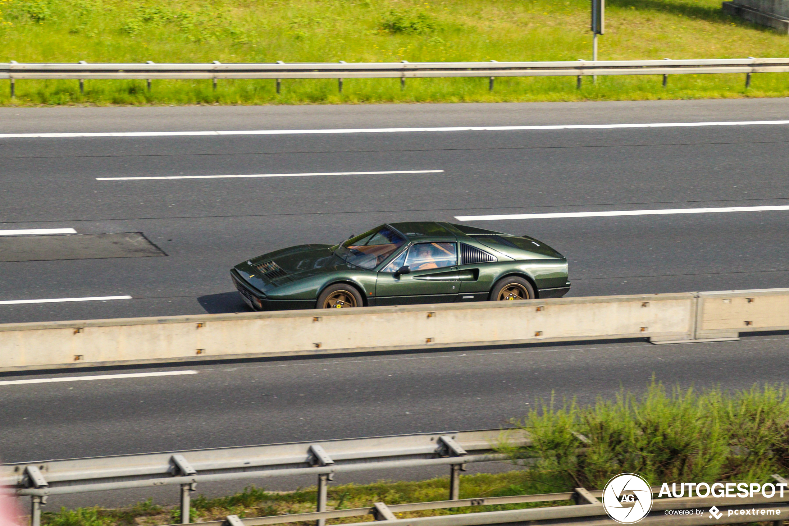 Donkergroen staat de Ferrari 308 zeer goed