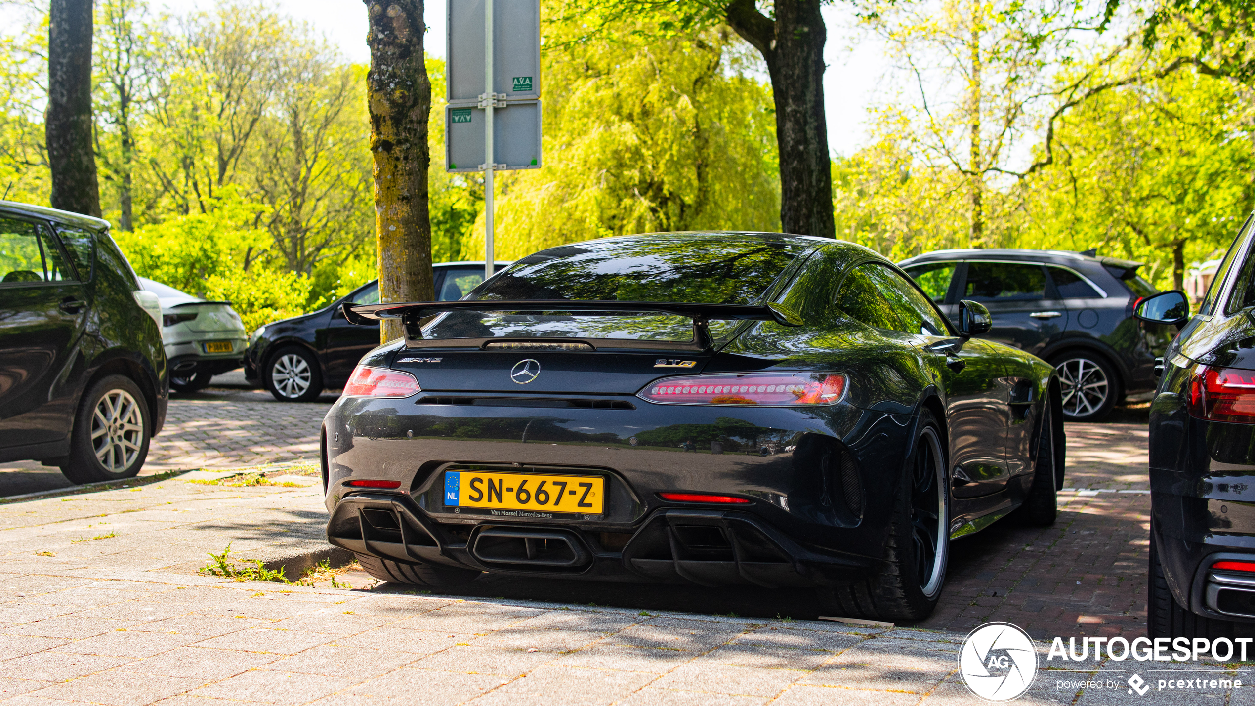 Mercedes-AMG GT R C190