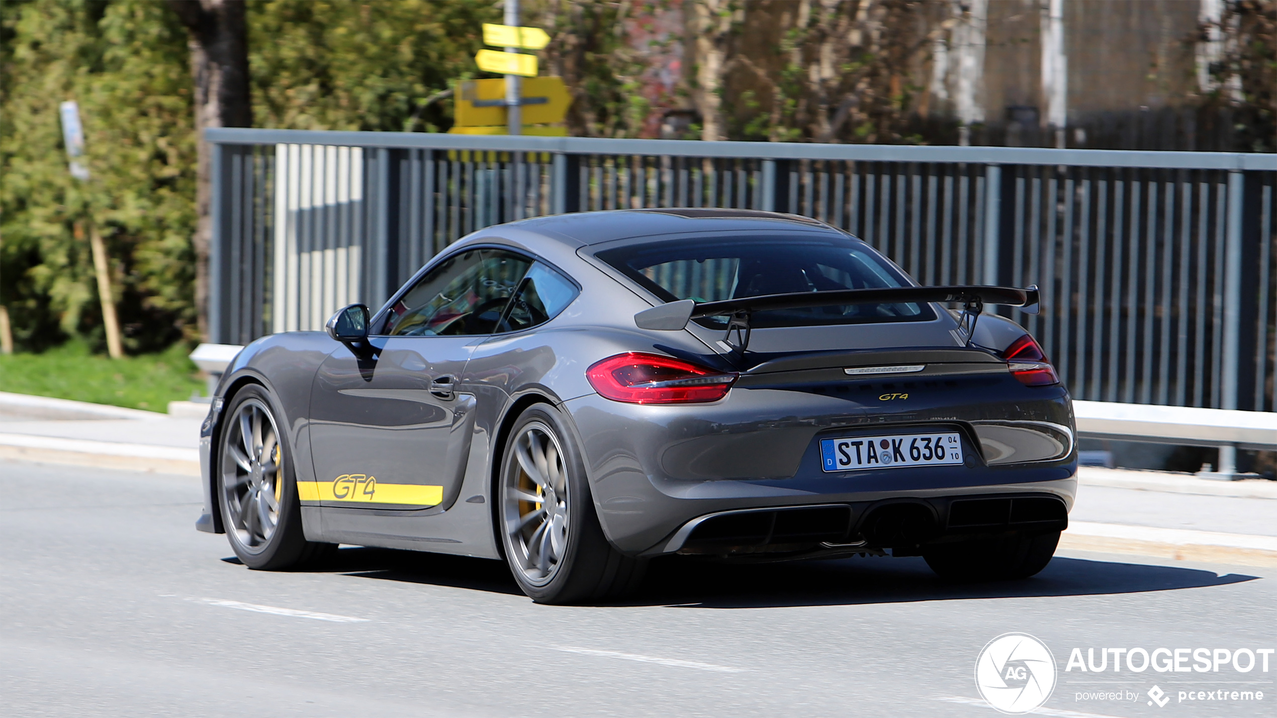 Porsche 981 Cayman GT4