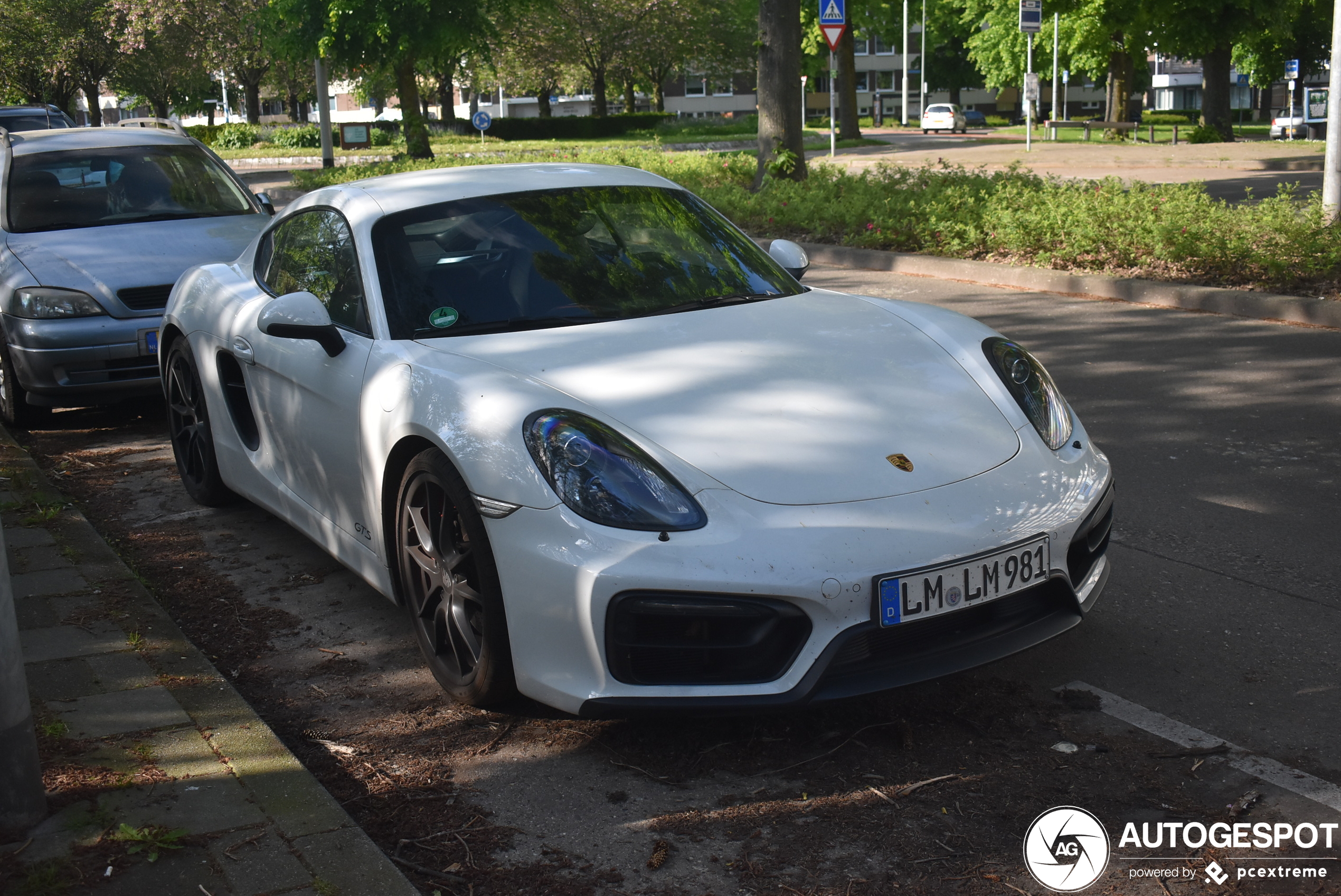 Porsche 981 Cayman GTS