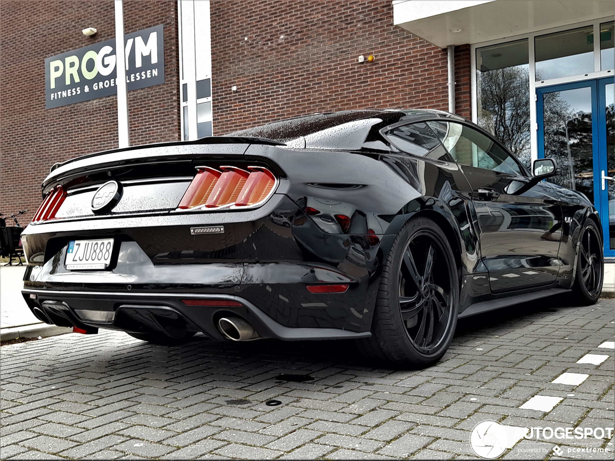 Ford Mustang GT 50th Anniversary Edition