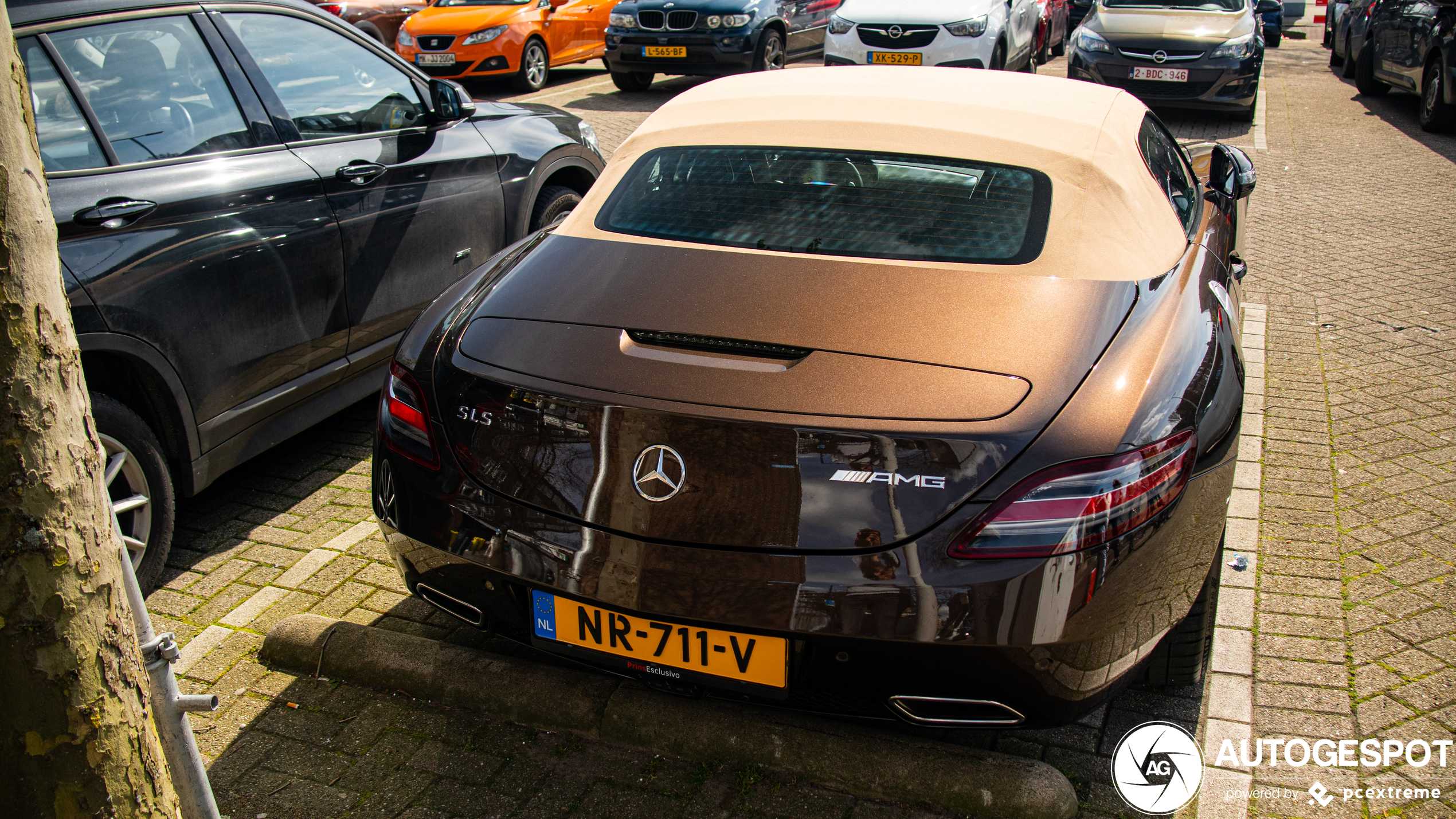 Mercedes-Benz SLS AMG Roadster