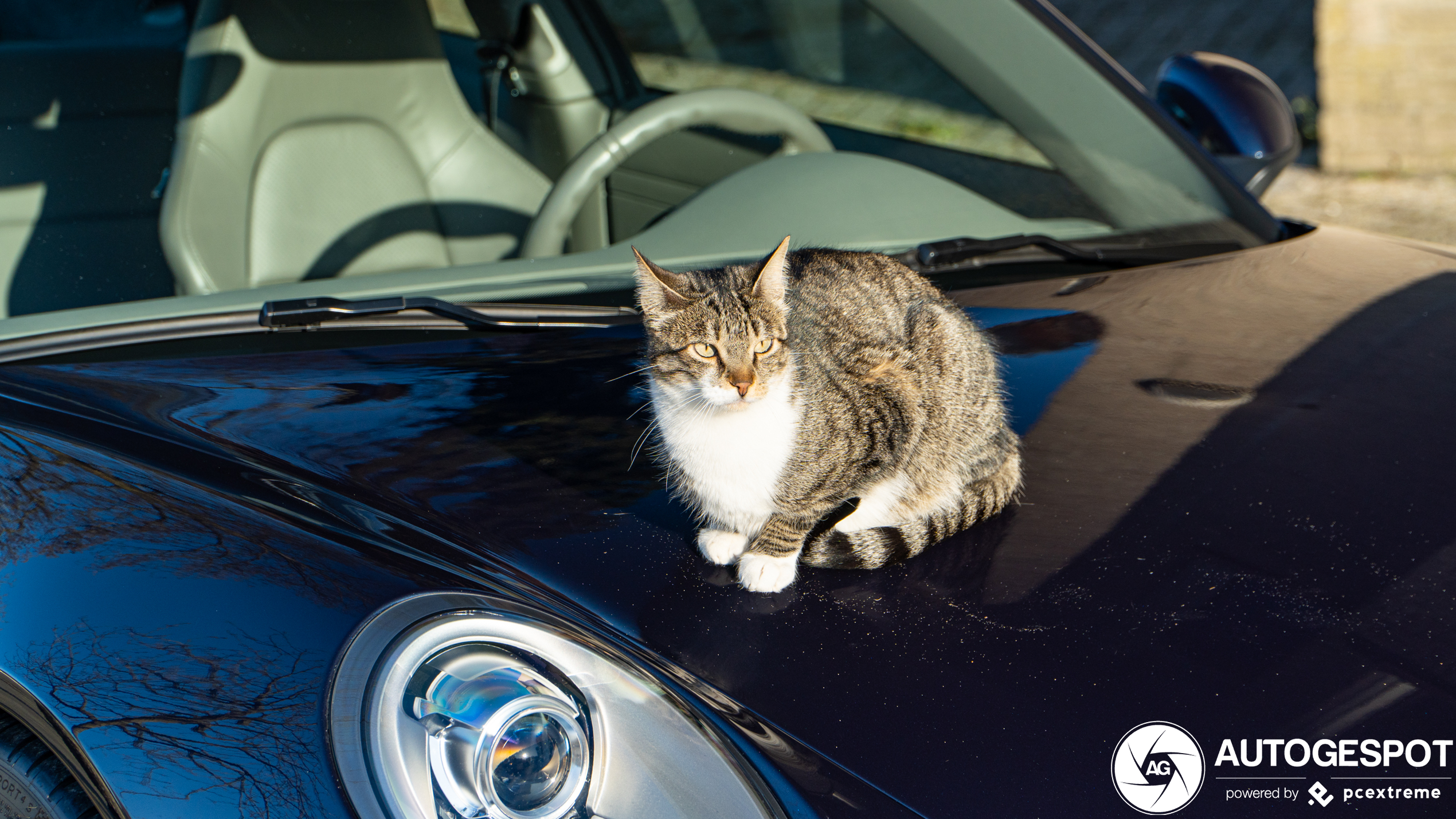 Porsche 991 Carrera S MkI