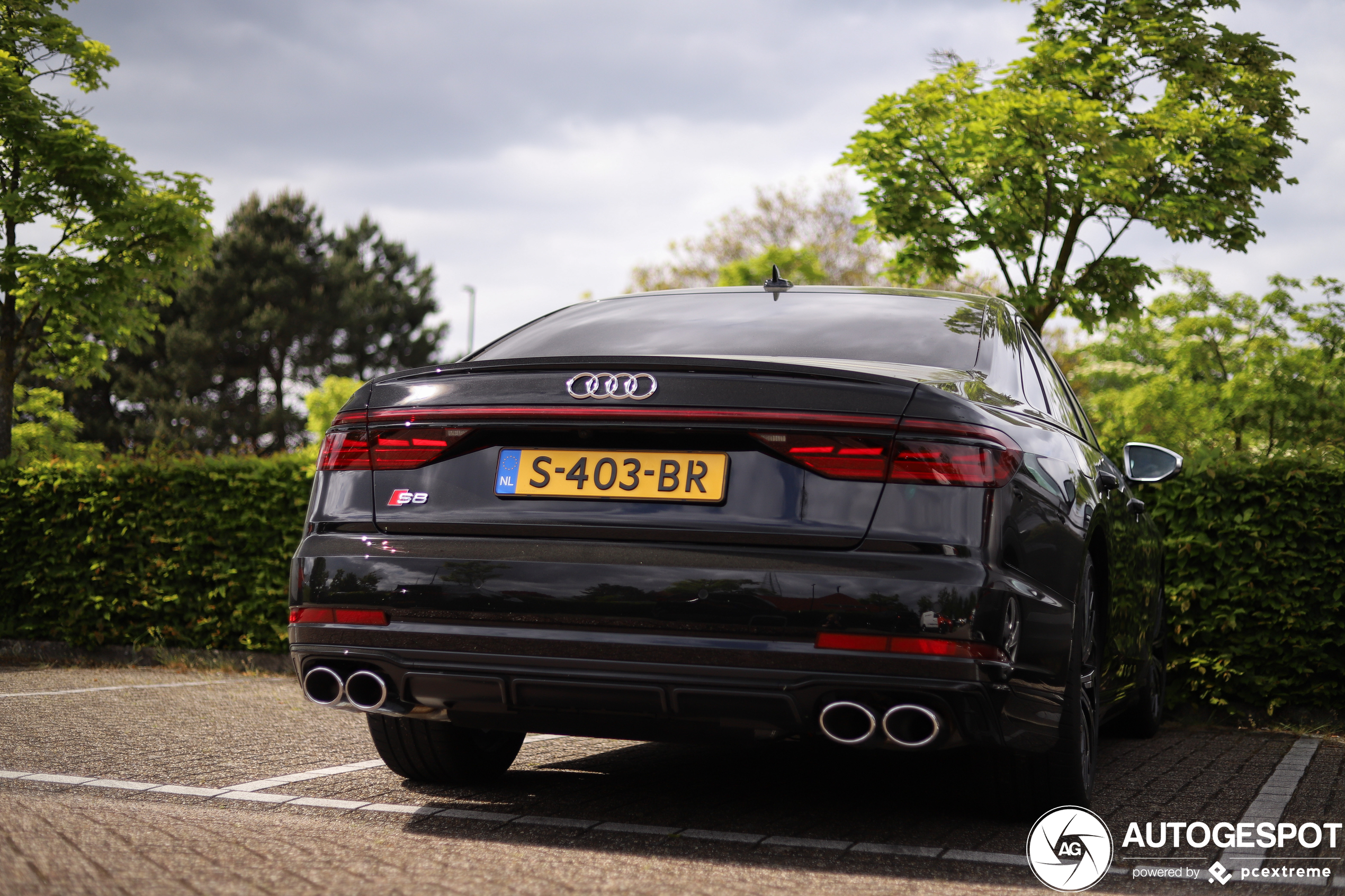 Audi S8 D5 2022