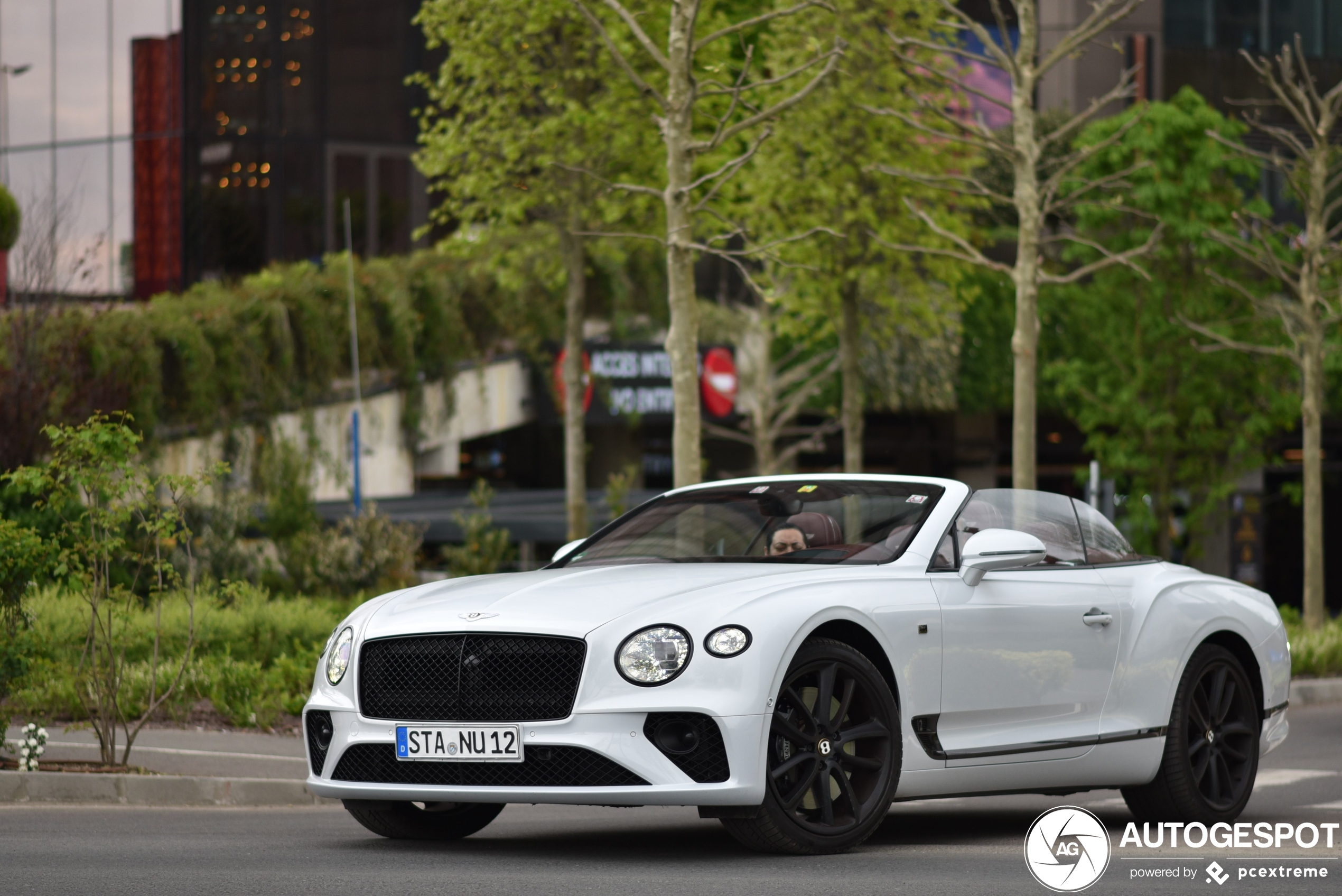 Bentley Continental GTC 2019 First Edition