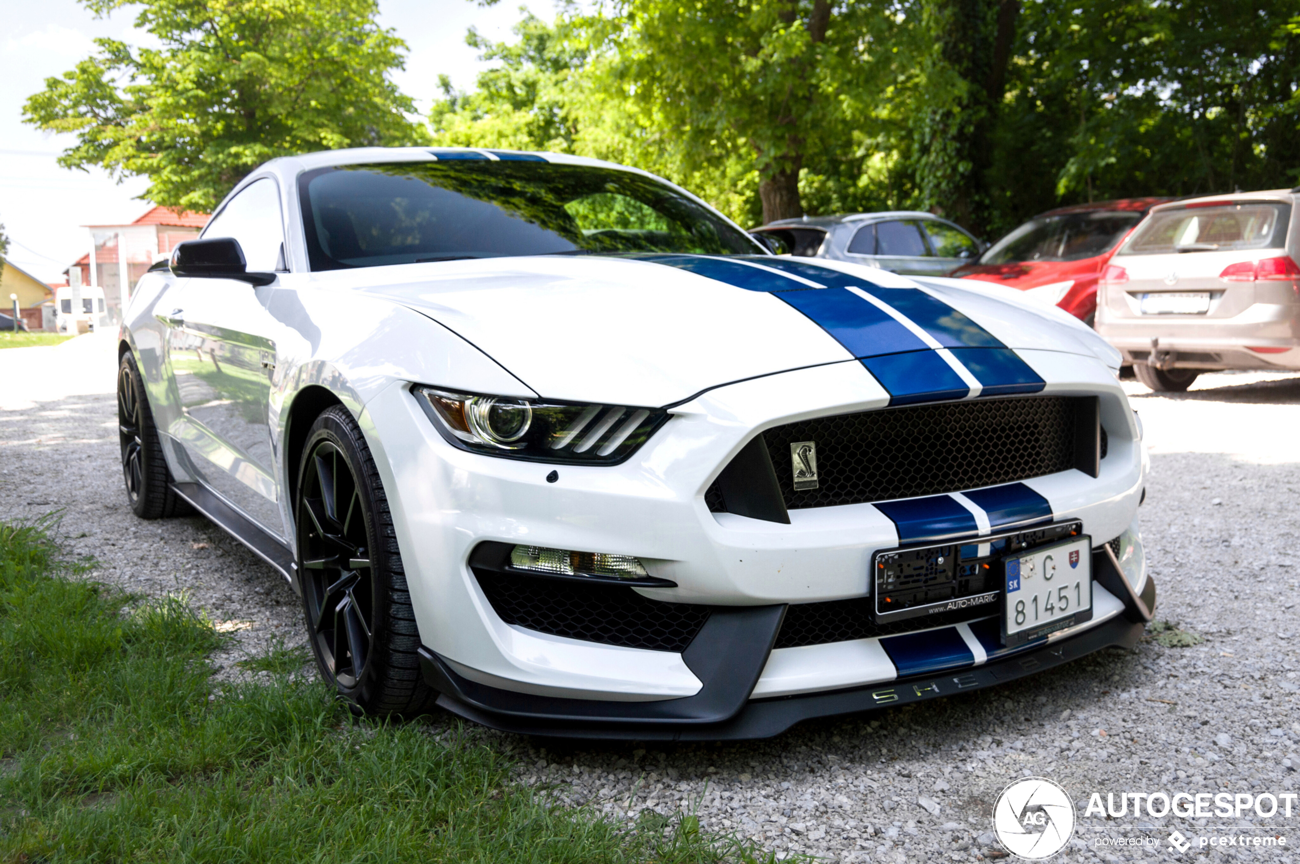 Ford Mustang Shelby GT350 2015