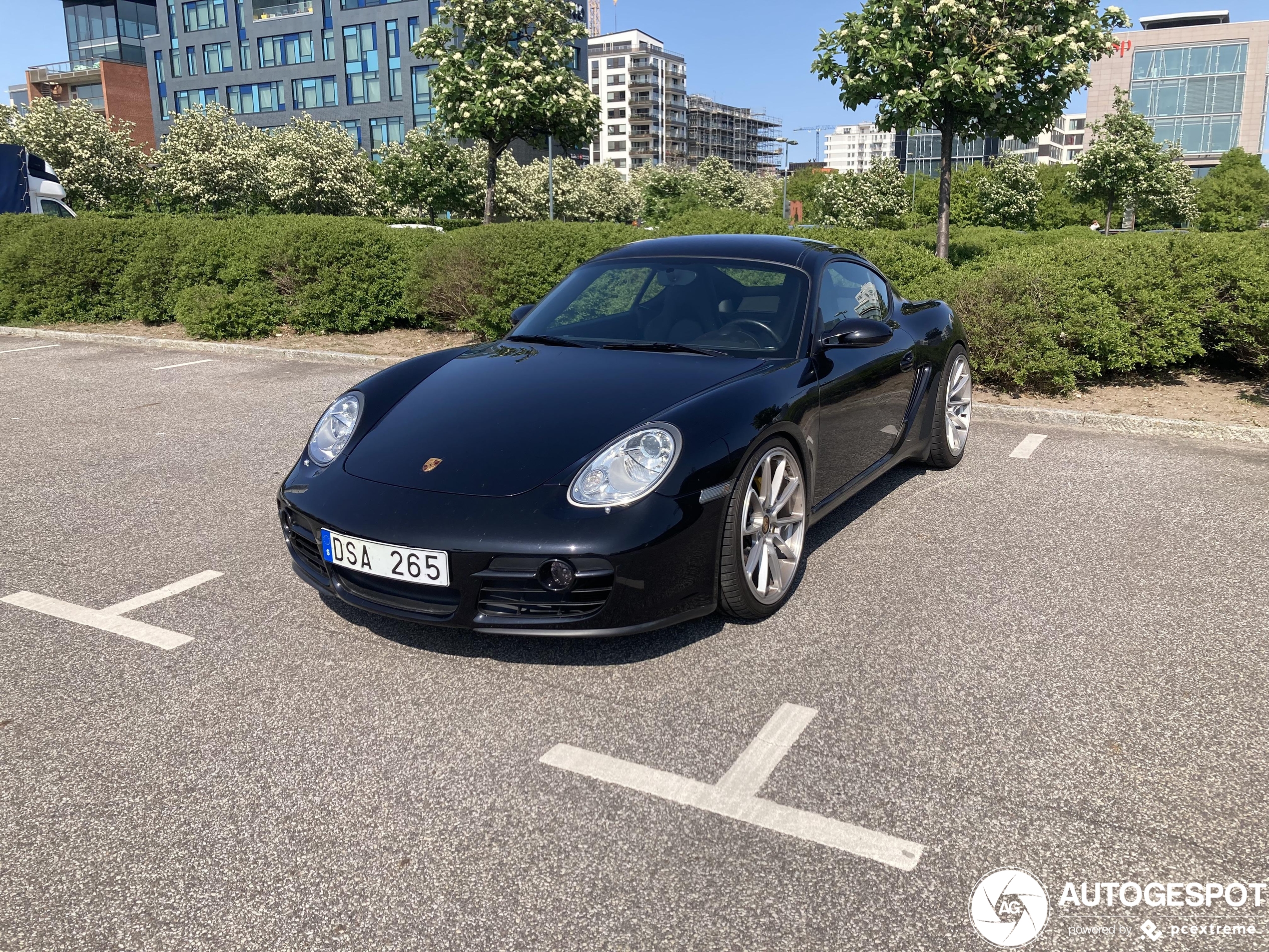 Porsche 987 Cayman S