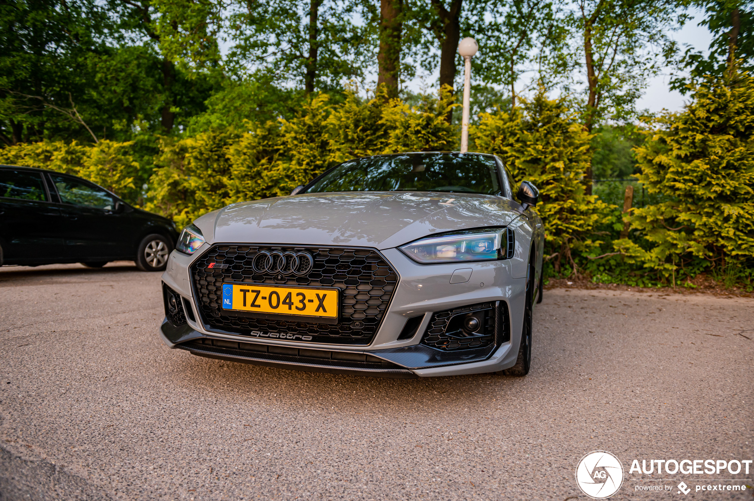 Audi RS5 B9