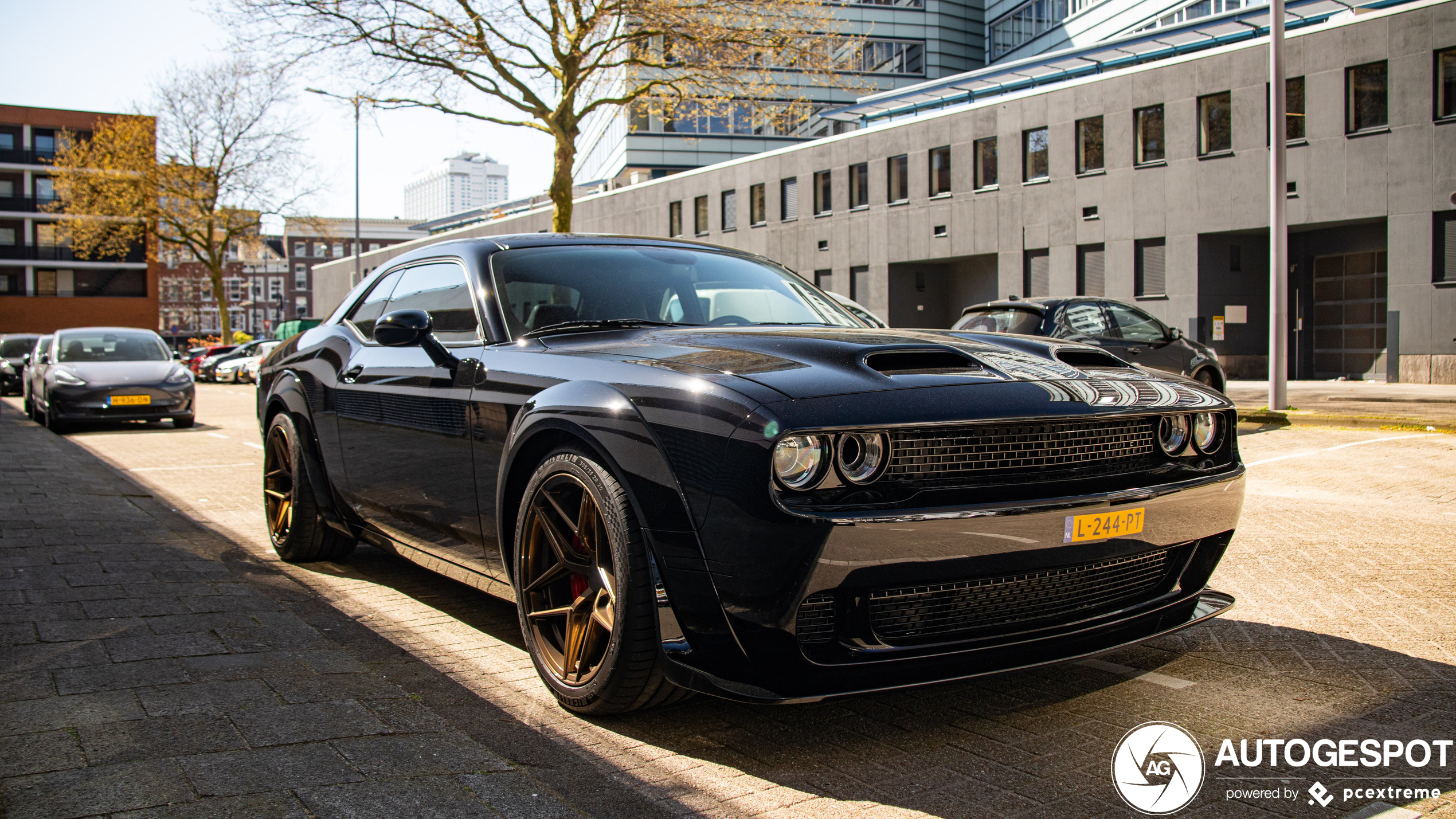 Dodge Challenger SRT Hellcat Widebody