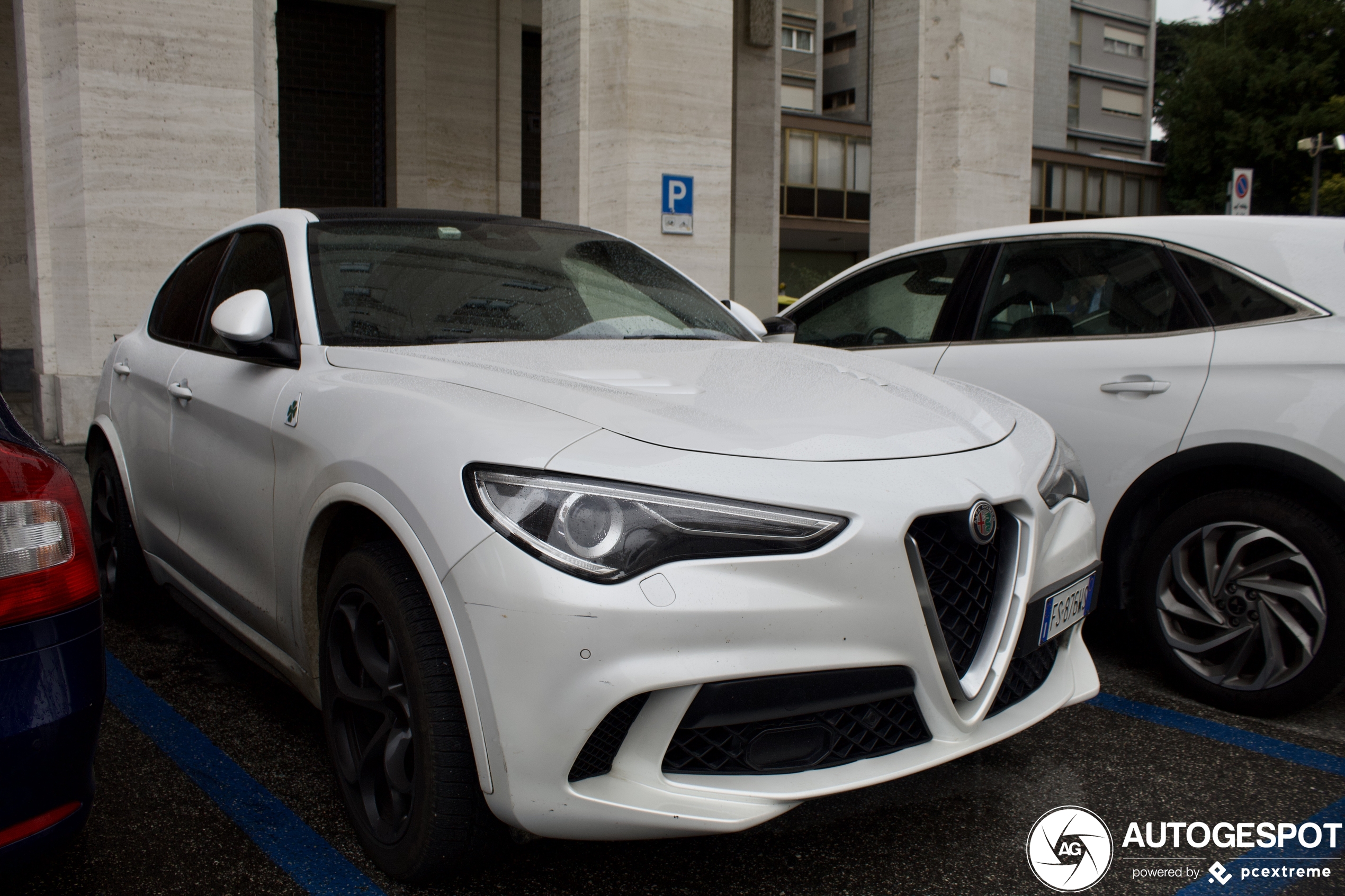 Alfa Romeo Stelvio Quadrifoglio