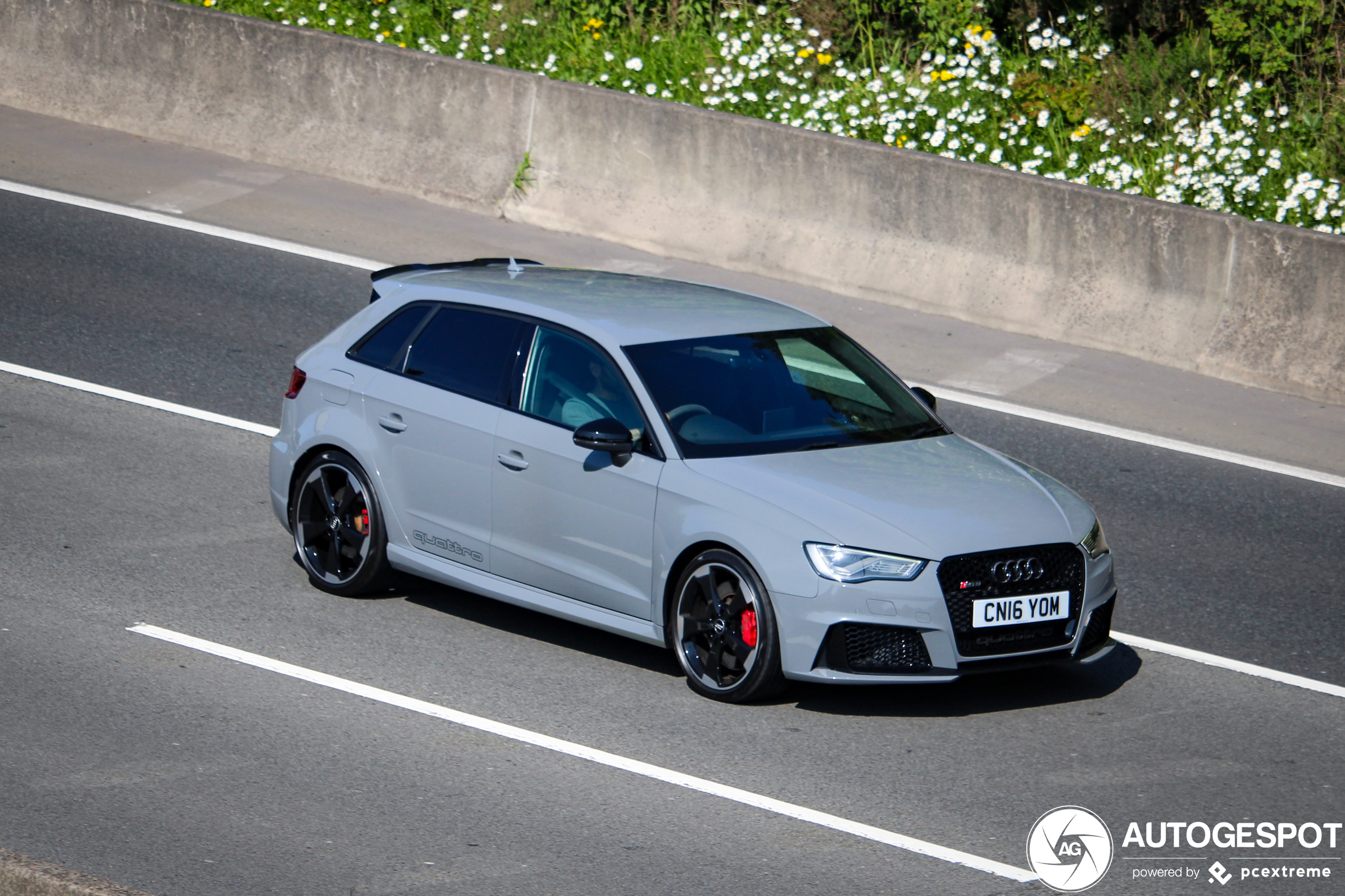 Audi RS3 Sportback 8V