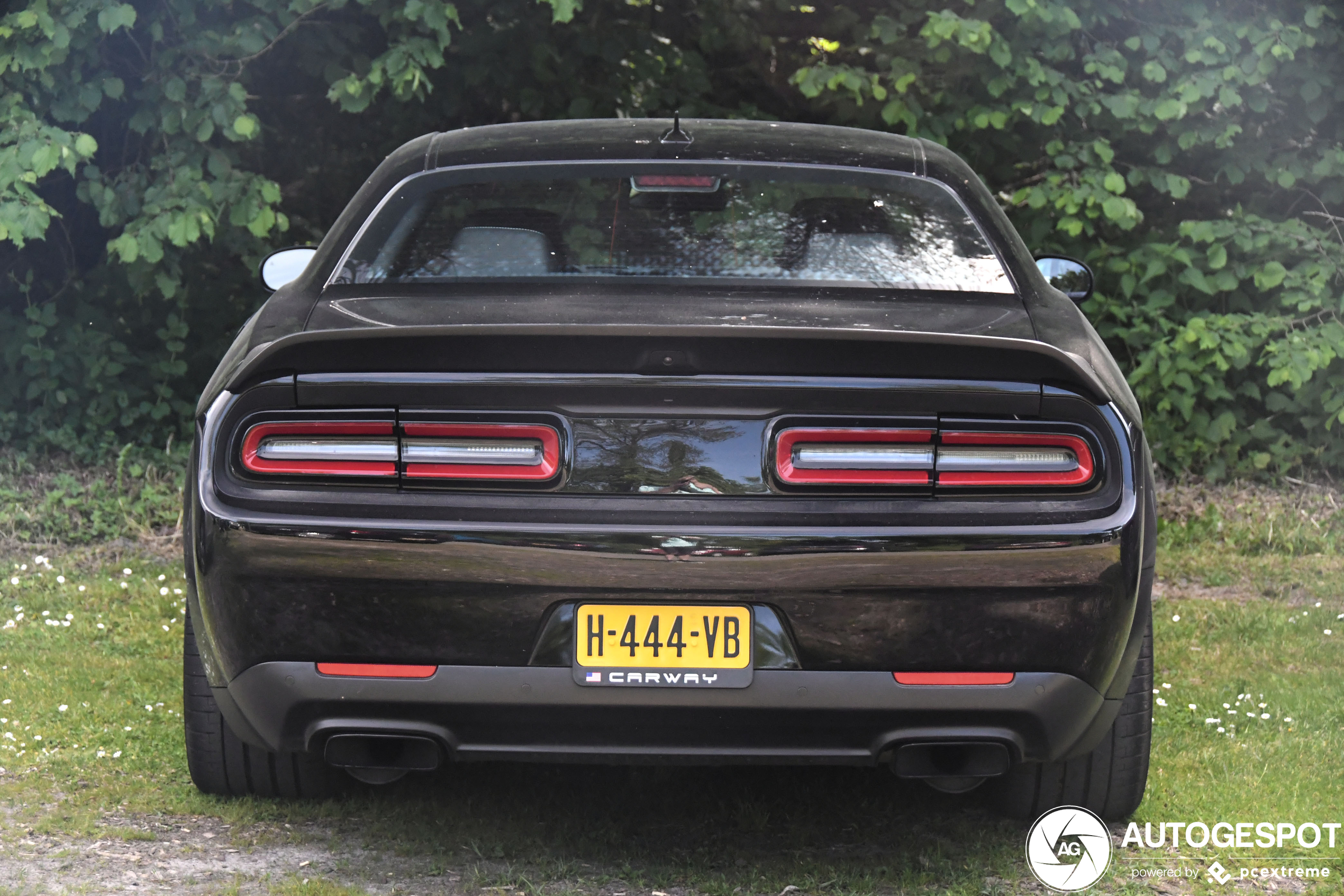 Hellcat Back Dodge Challenger SRT Hellcat Widebody - 28 May 2023 - Autogespot