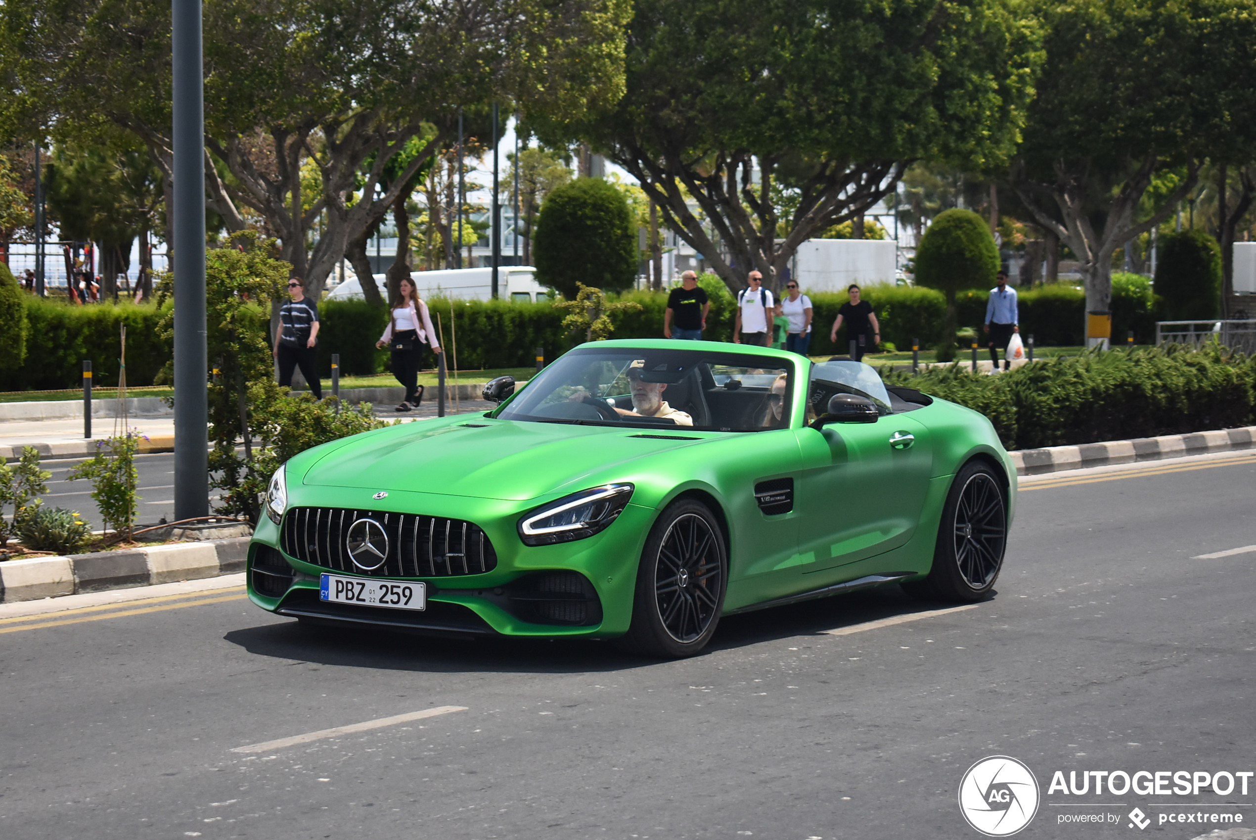 Mercedes-AMG GT C Roadster R190 2019