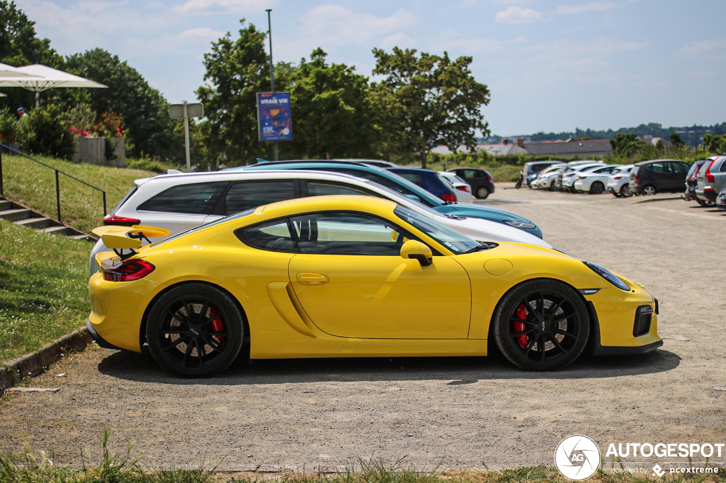 Porsche 981 Cayman GT4