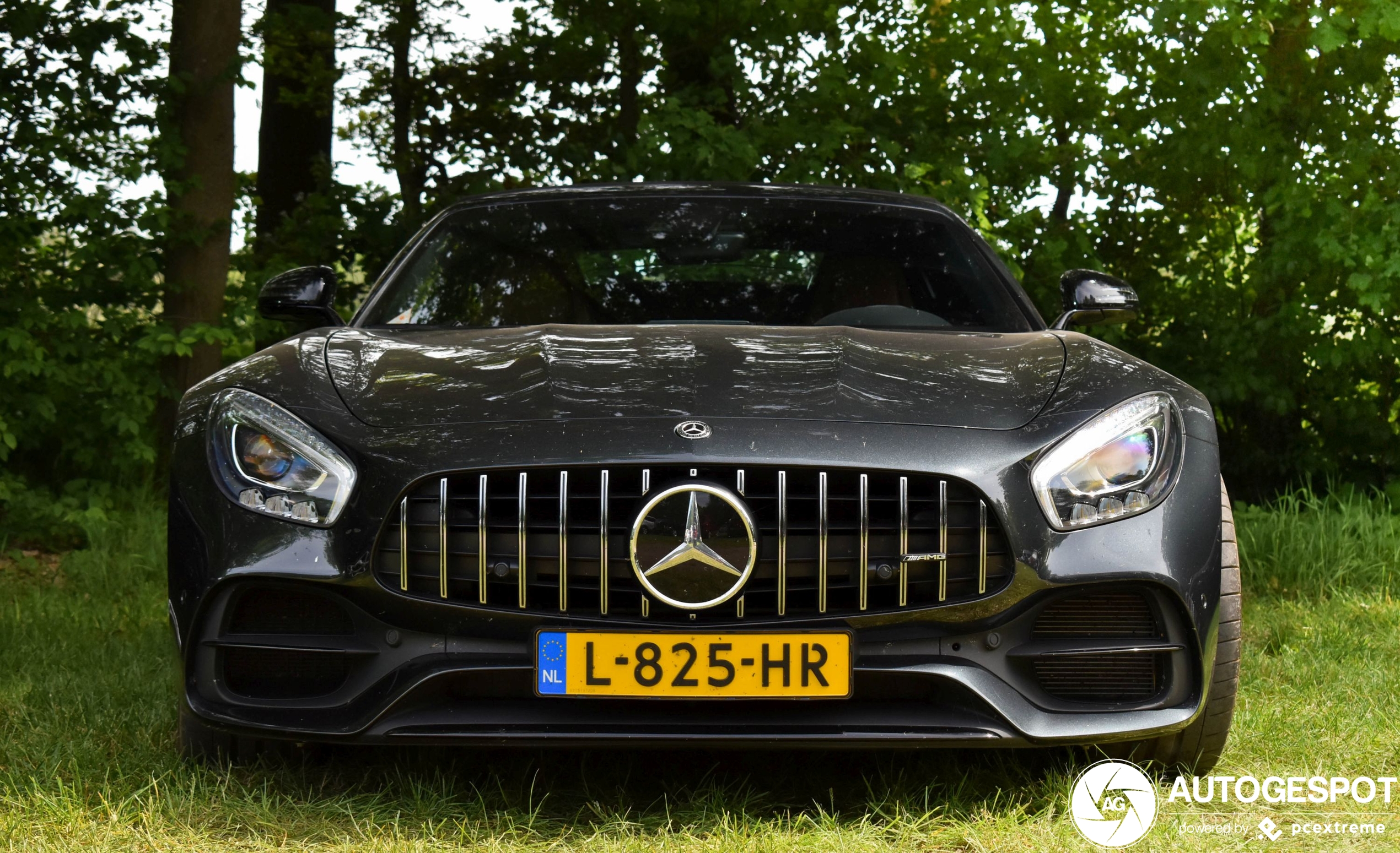 Mercedes-AMG GT Roadster R190