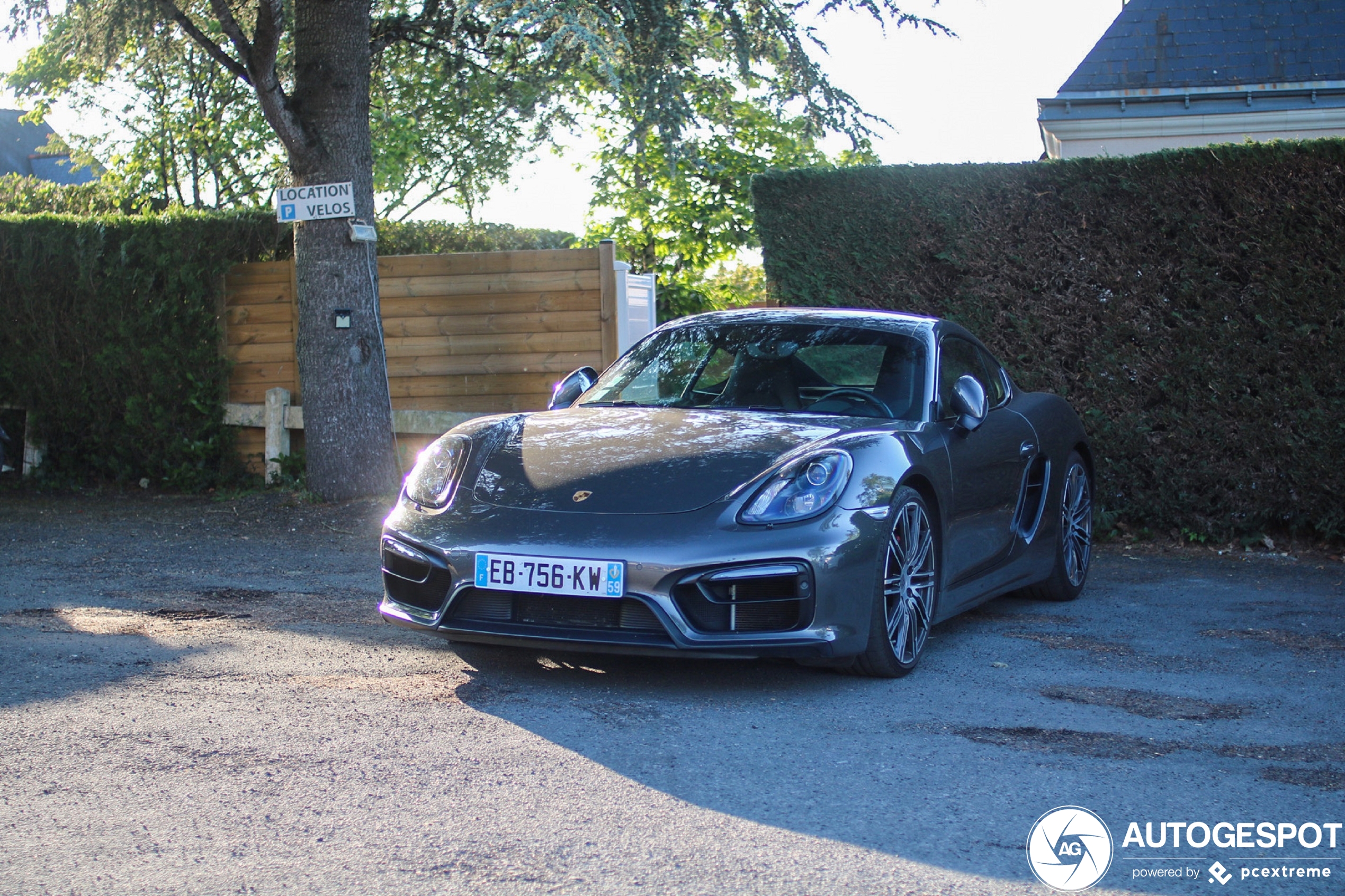 Porsche 981 Cayman GTS