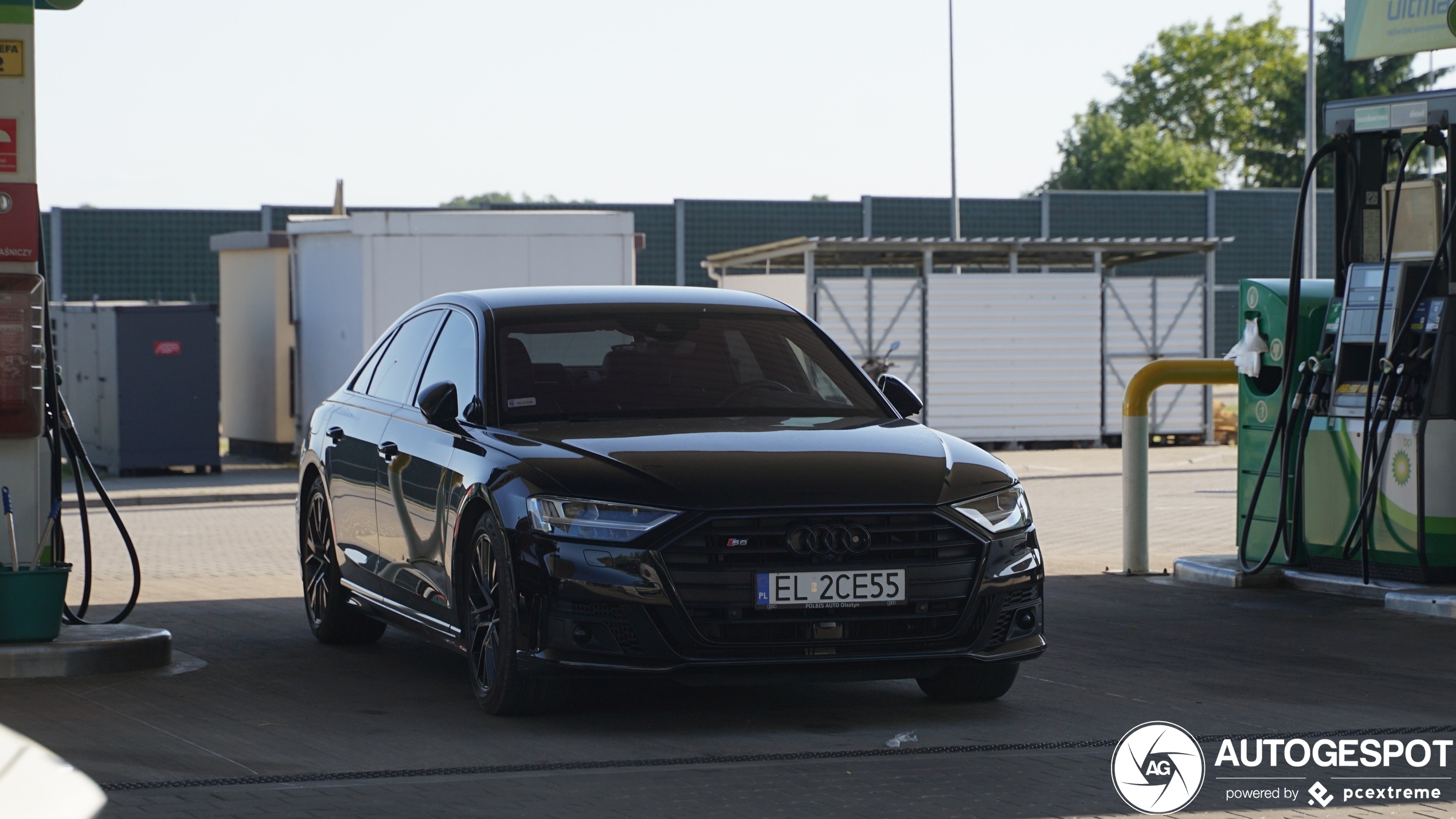 Audi S8 D5