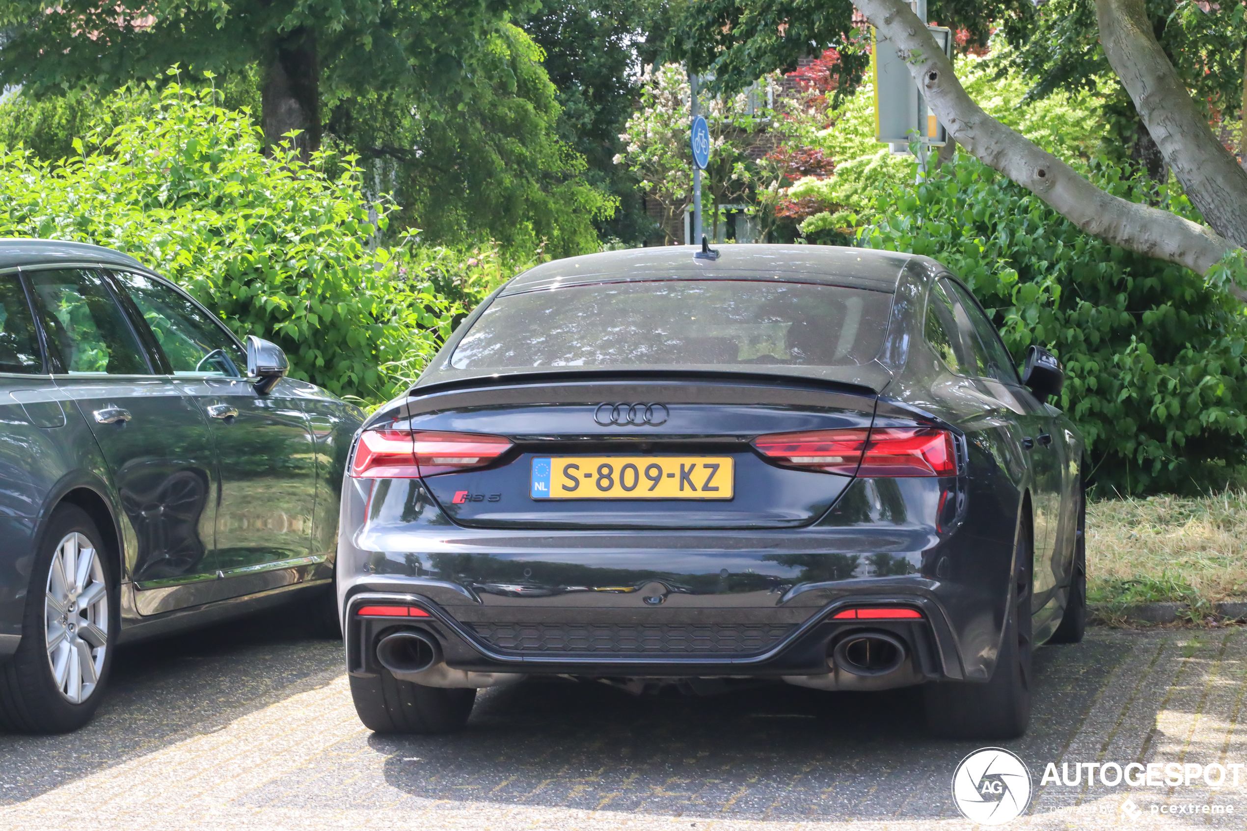 Audi RS5 Sportback B9 2021