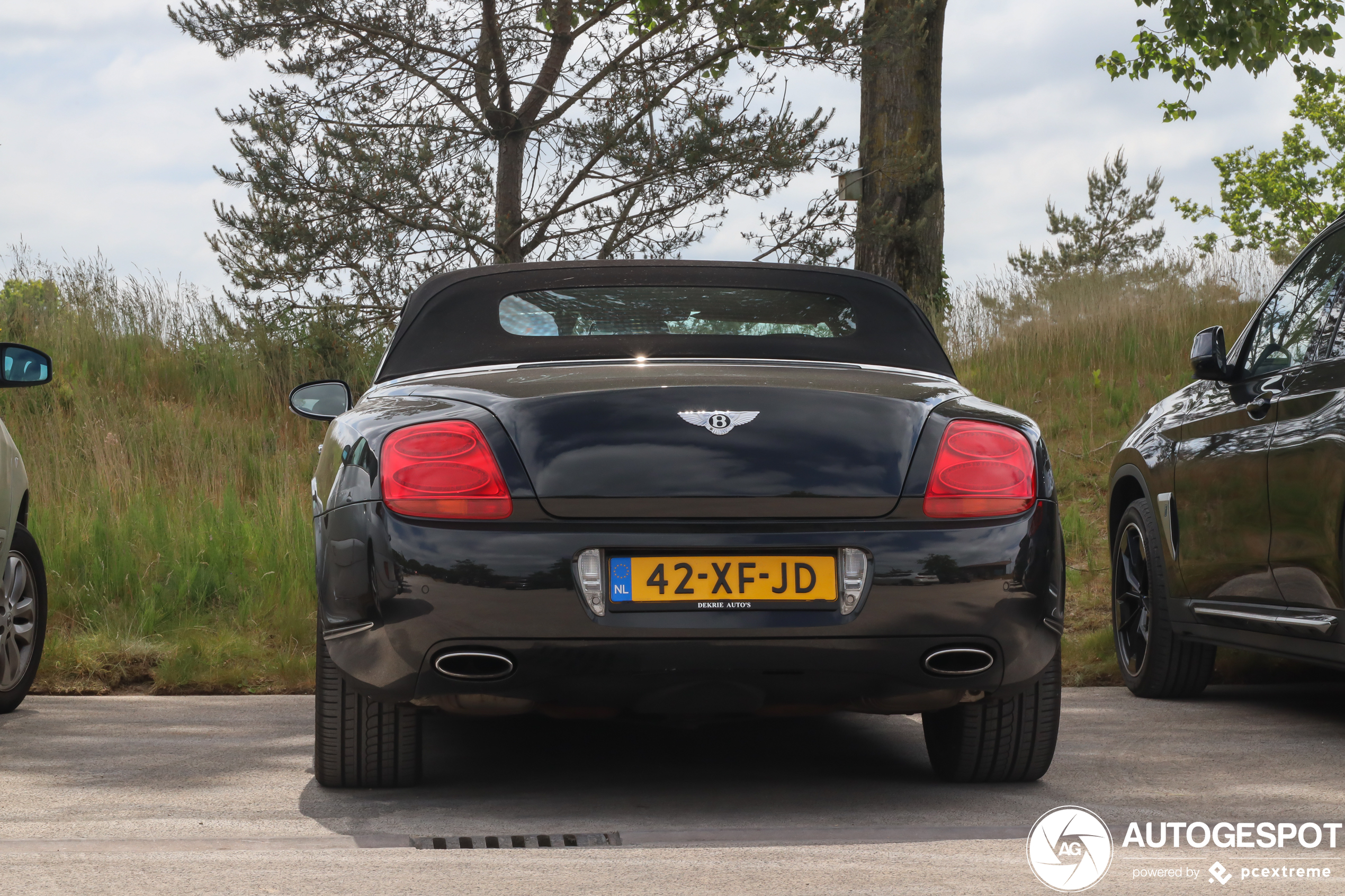 Bentley Continental GTC