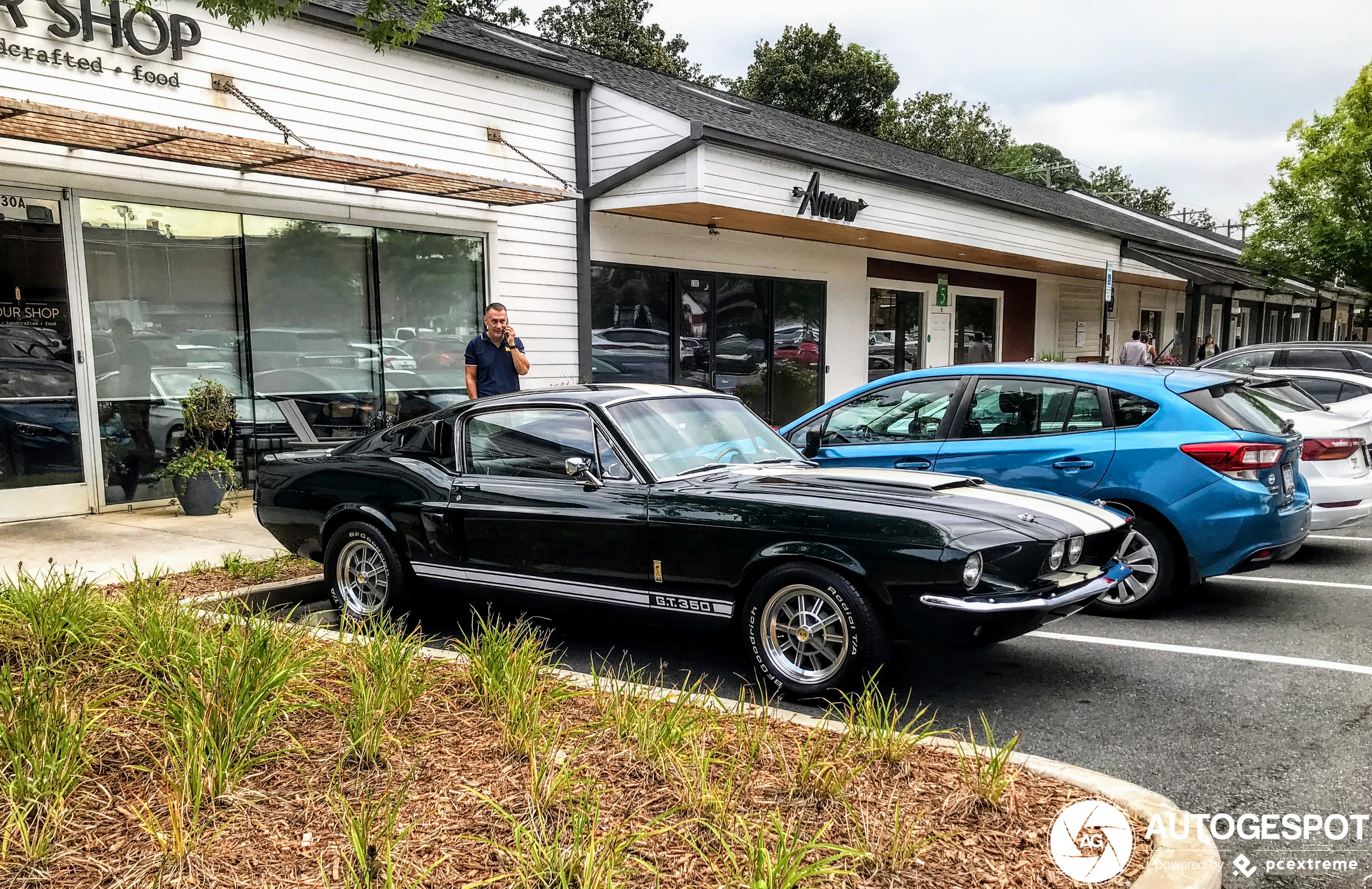 Ford Mustang Shelby G.T. 350