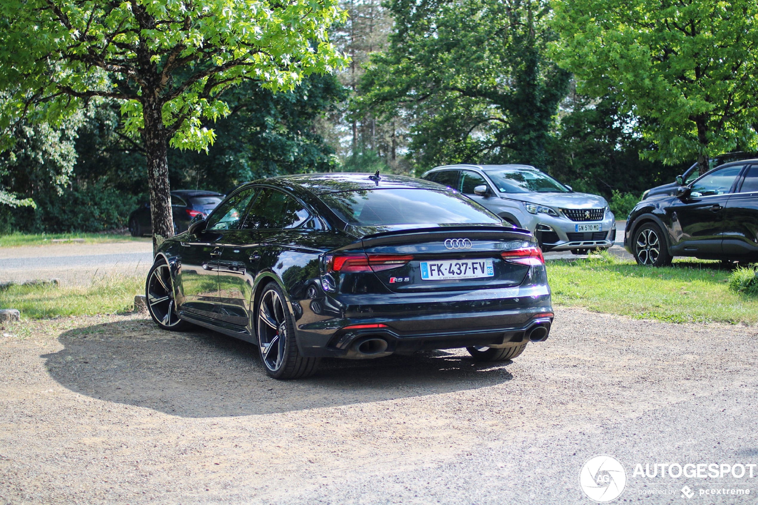 Audi RS5 Sportback B9