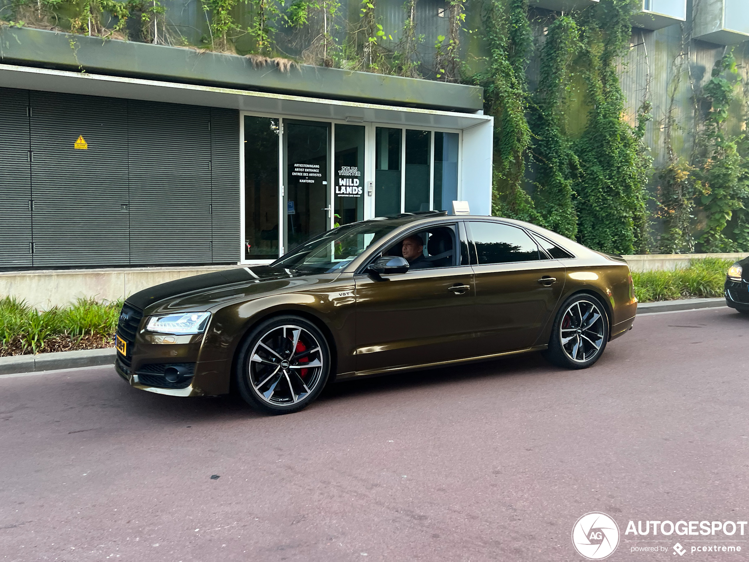 Audi S8 D4 Plus 2016