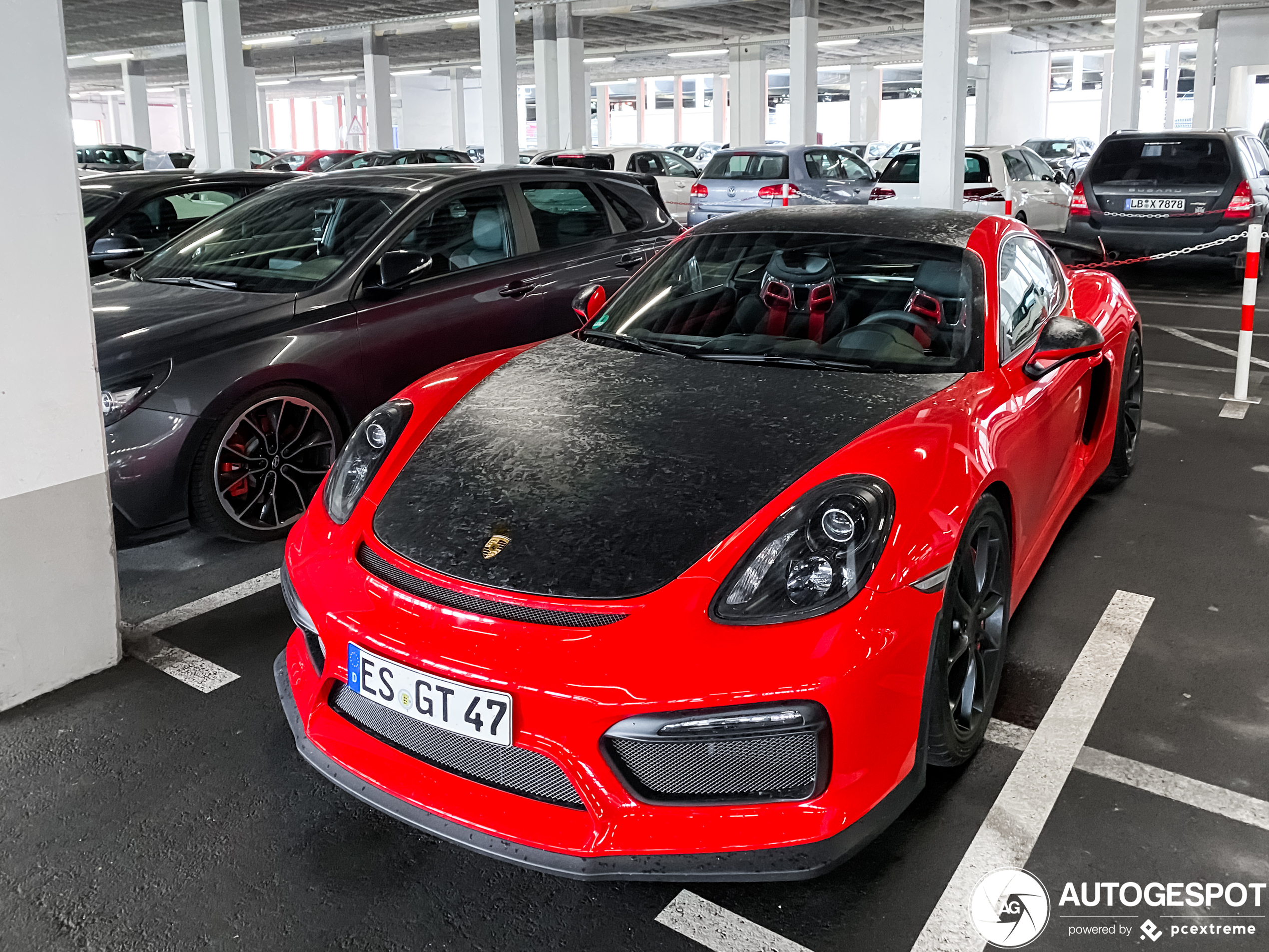 Porsche 981 Cayman GT4