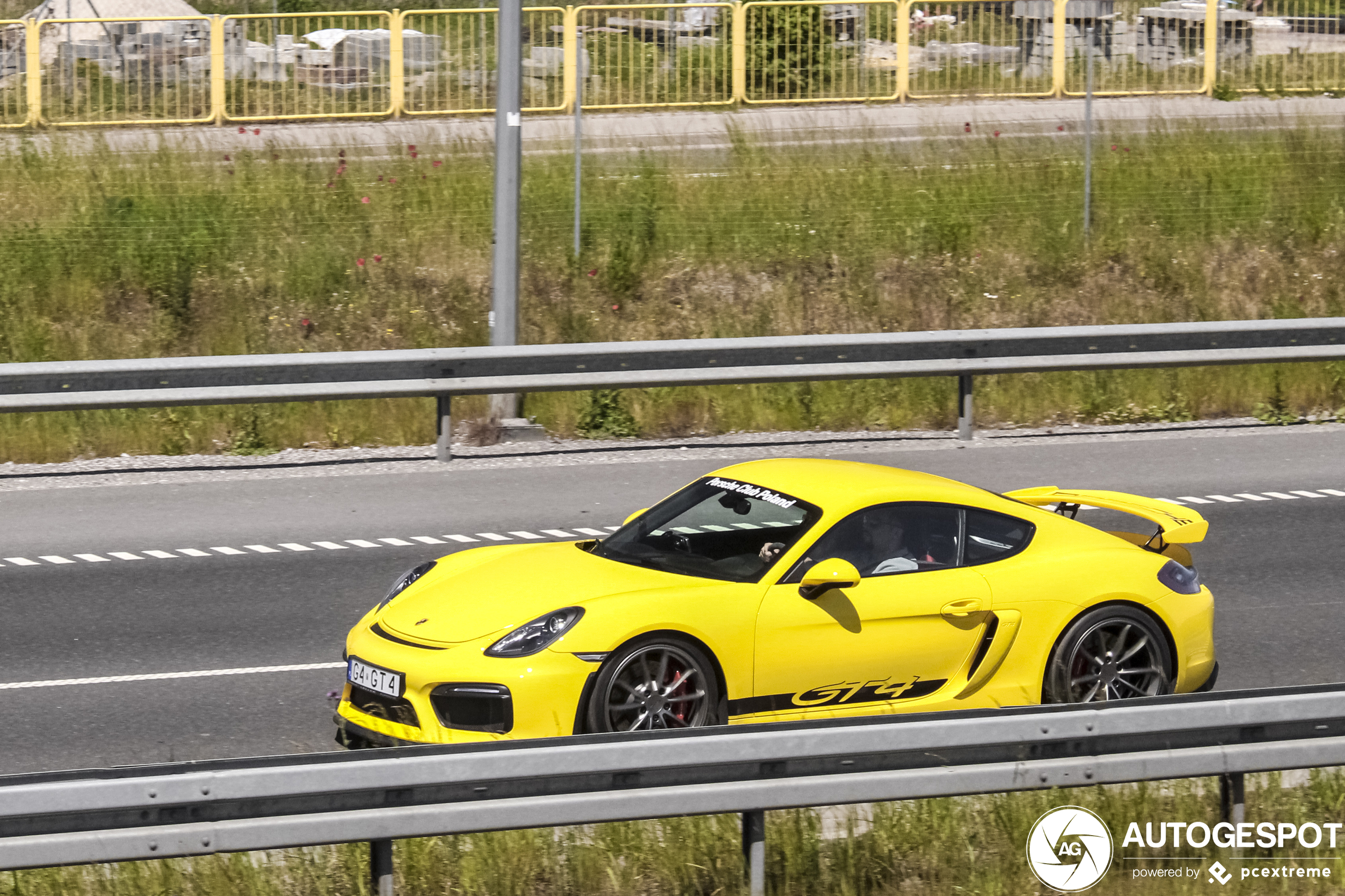 Porsche 981 Cayman GT4