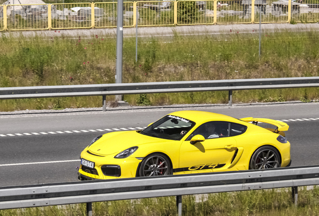 Porsche 981 Cayman GT4