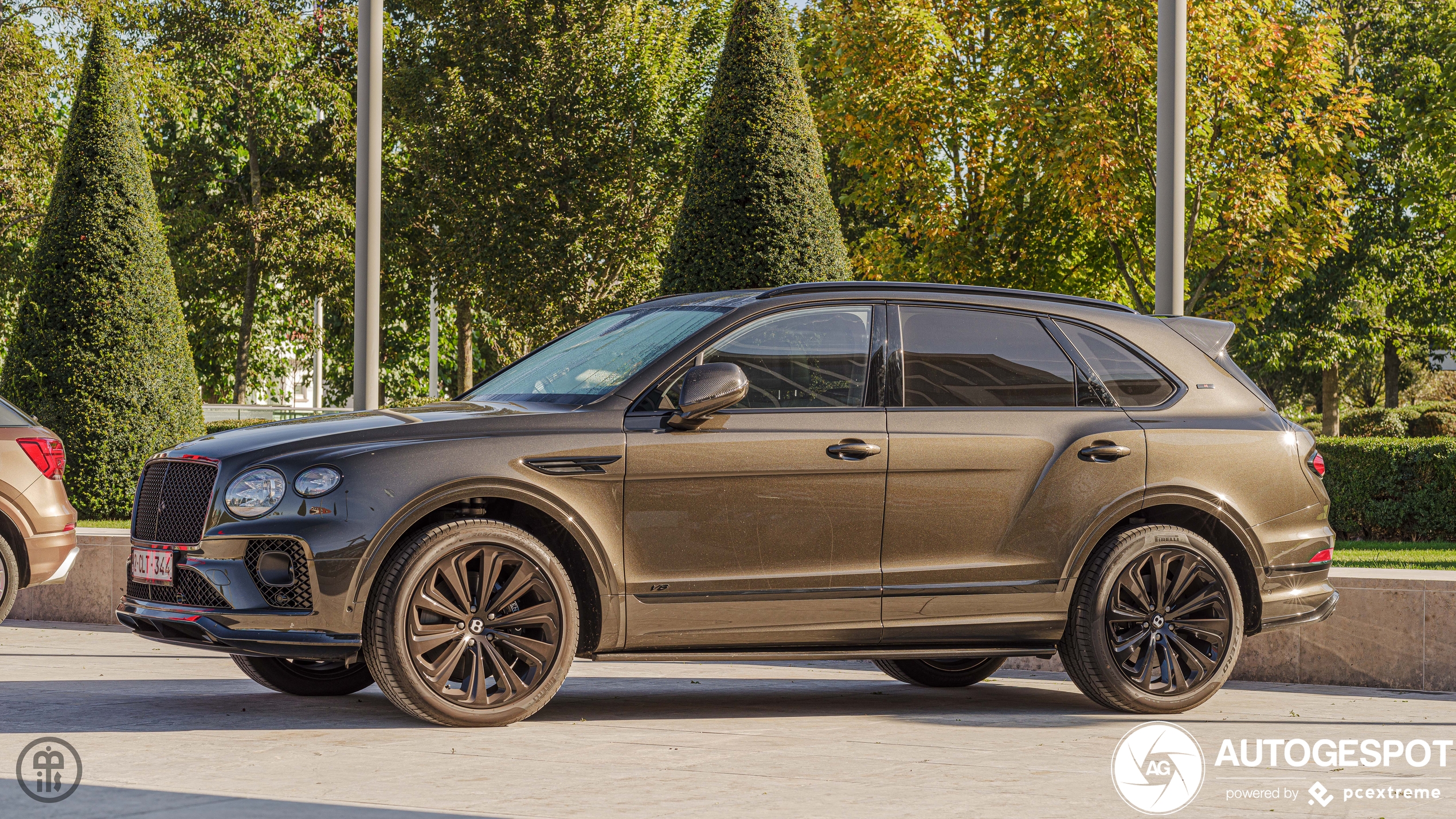 Bentley Bentayga V8 2021 Belgian Equestrian Collection