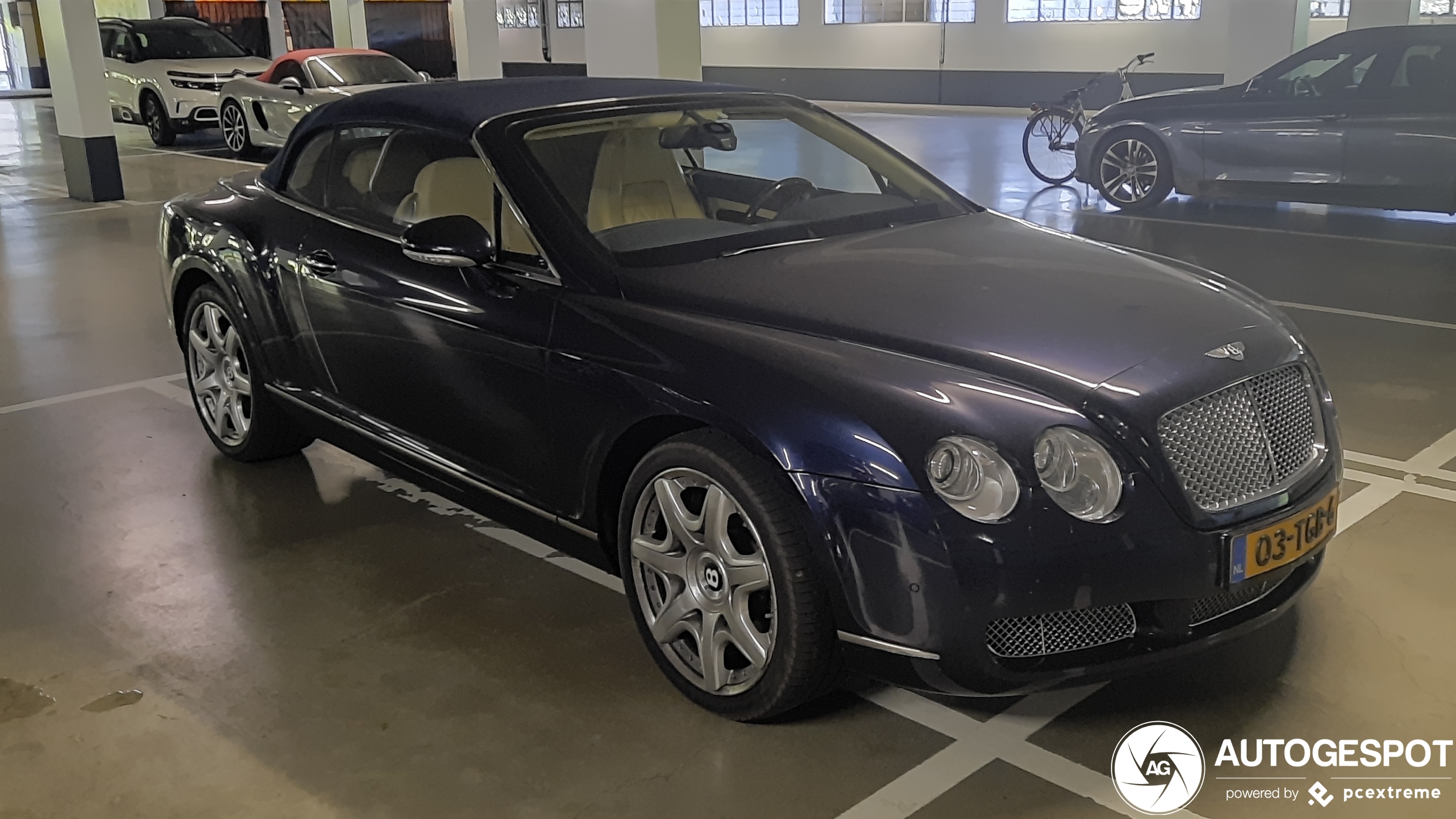 Bentley Continental GTC