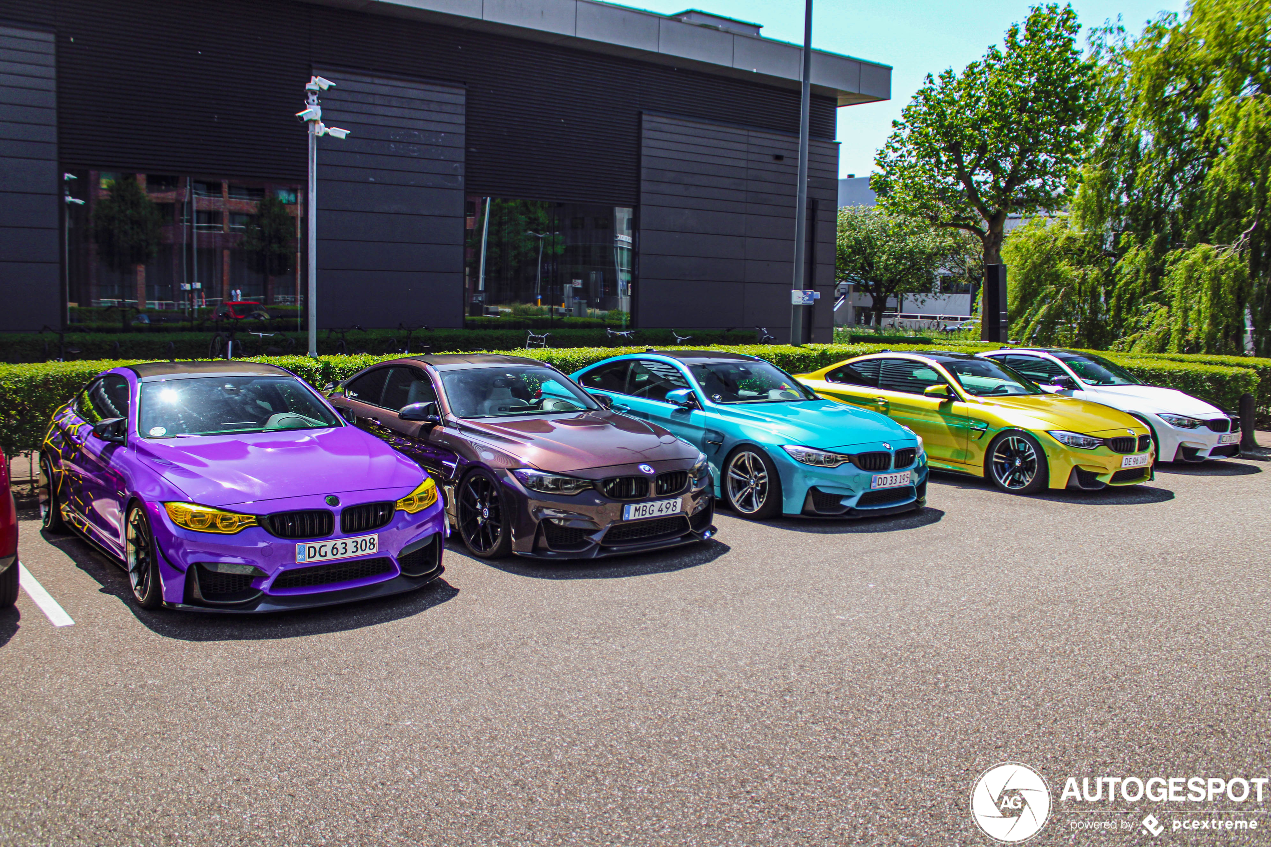 Alle BMW M4s van de regenboog