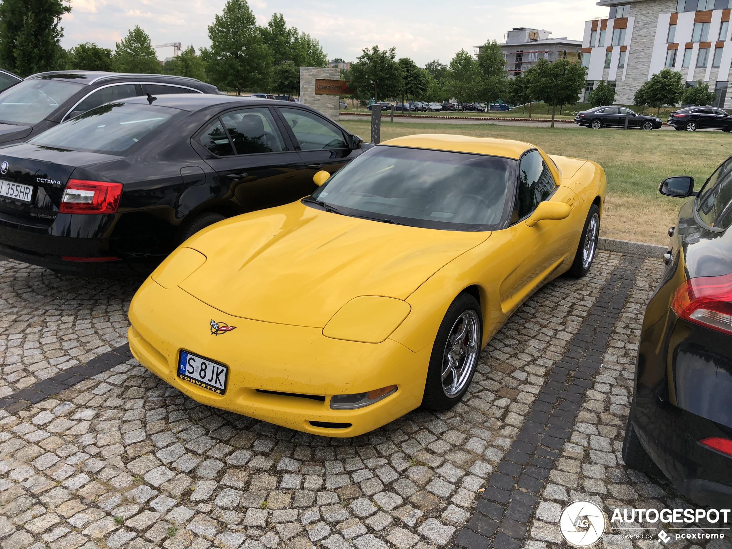 Chevrolet Corvette C5