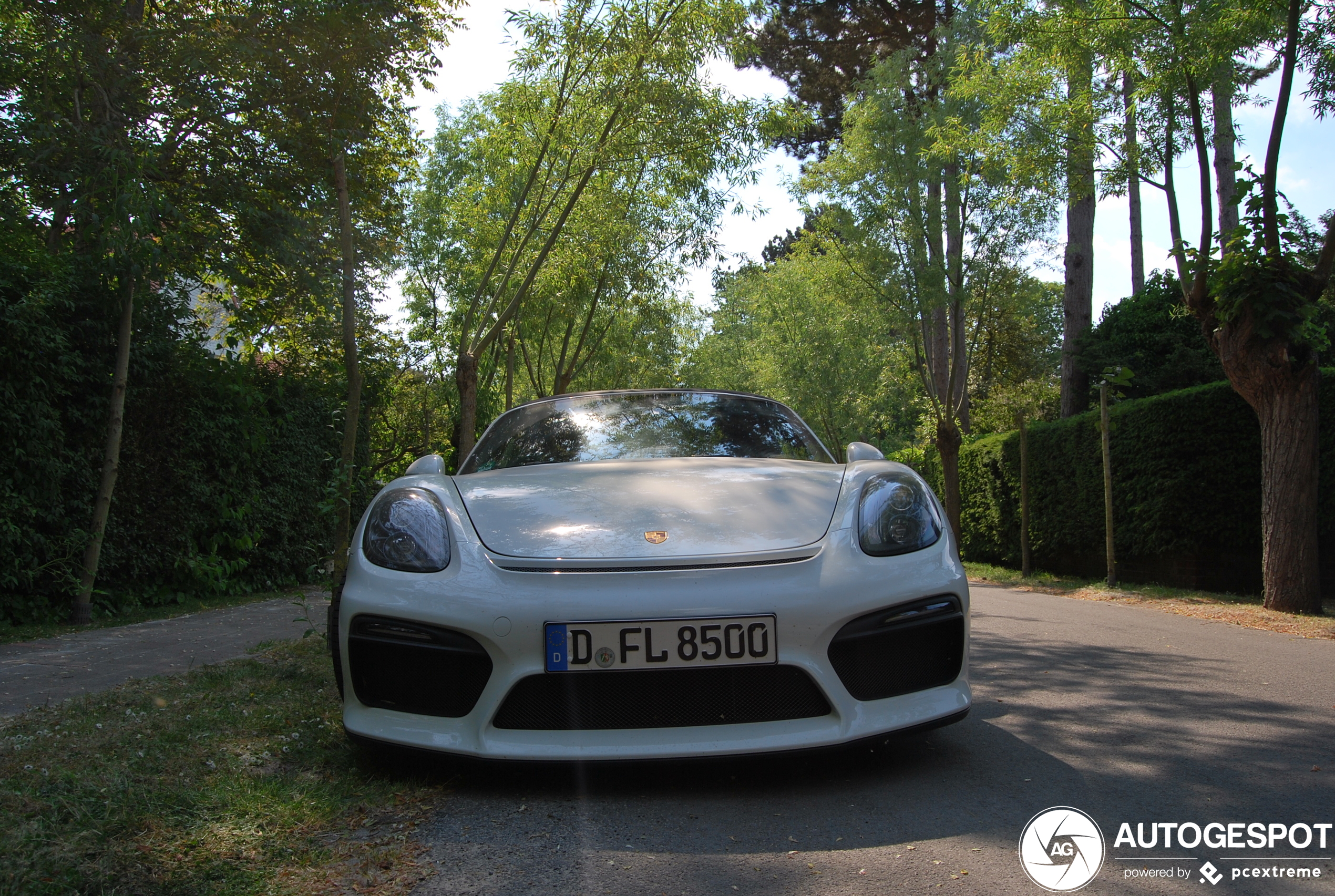 Porsche 981 Boxster Spyder